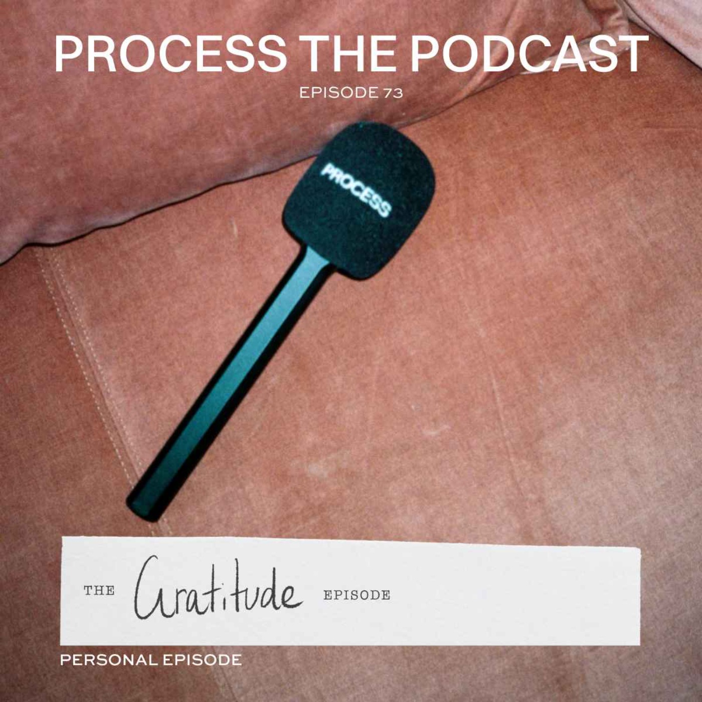 Process The Podcast