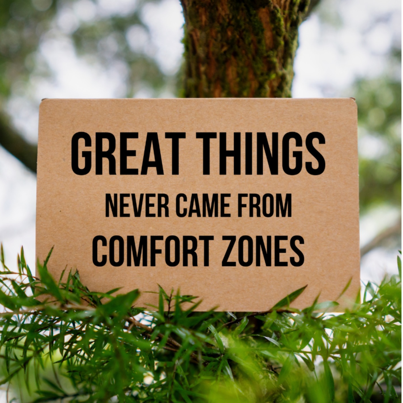 Great things never came from comfort zones - law of attraction