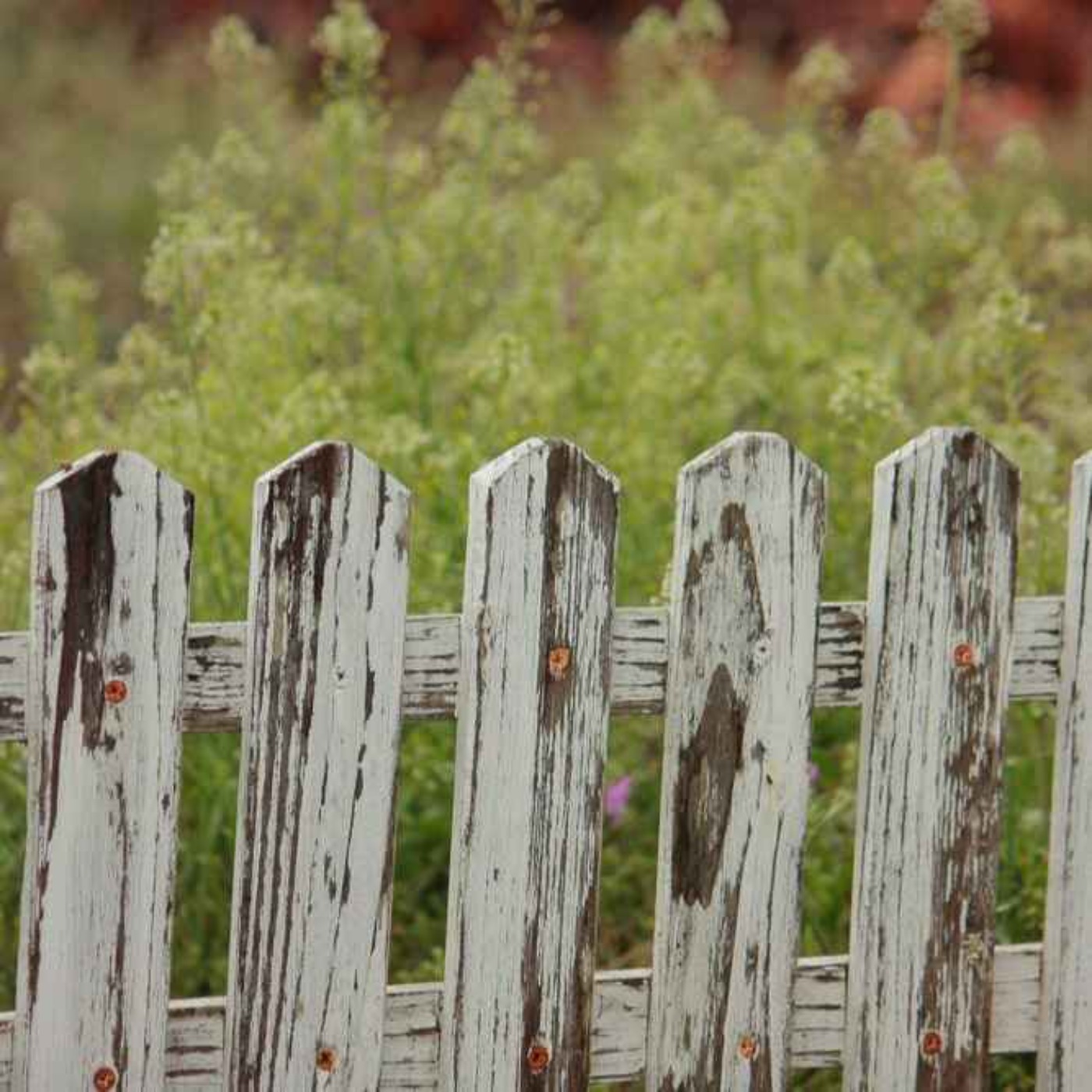 Put a Fence in it—Magic Steps Ch.11