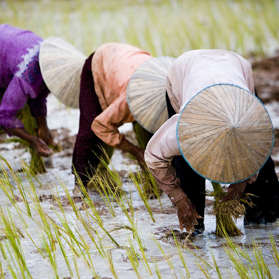 Cambodia falls for China's corporate embrace