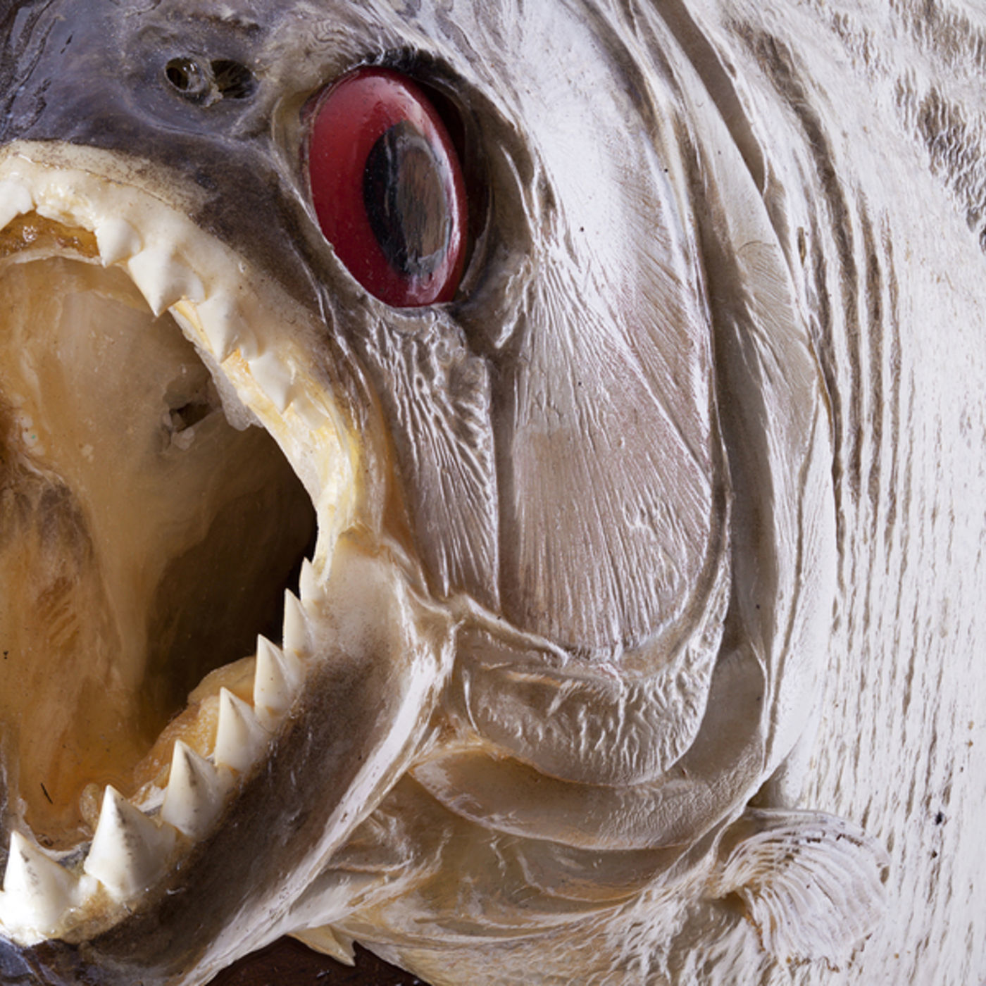 Leadership Answer Man | Leadership and Management Advice