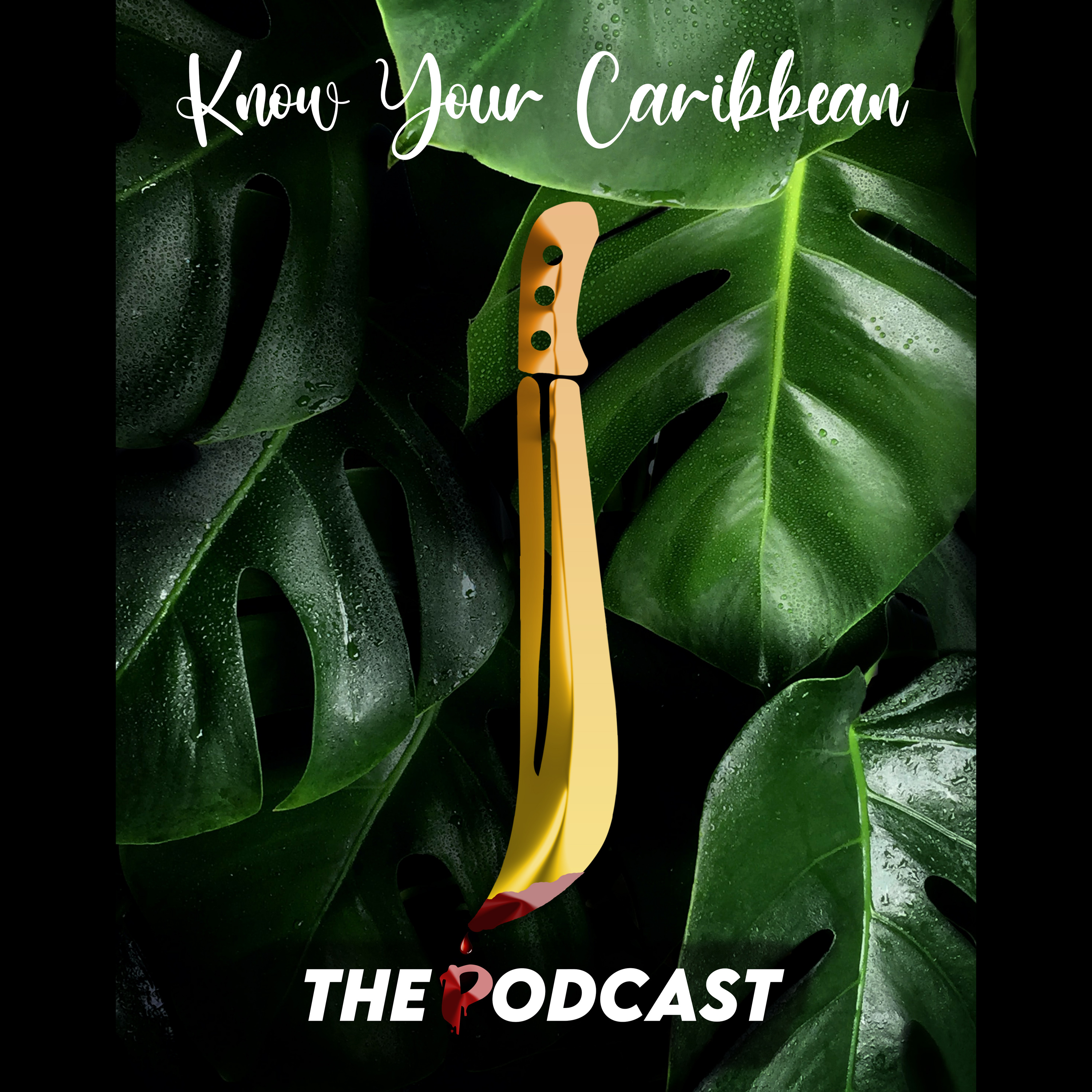 The Maroons of Dominica episode artwork