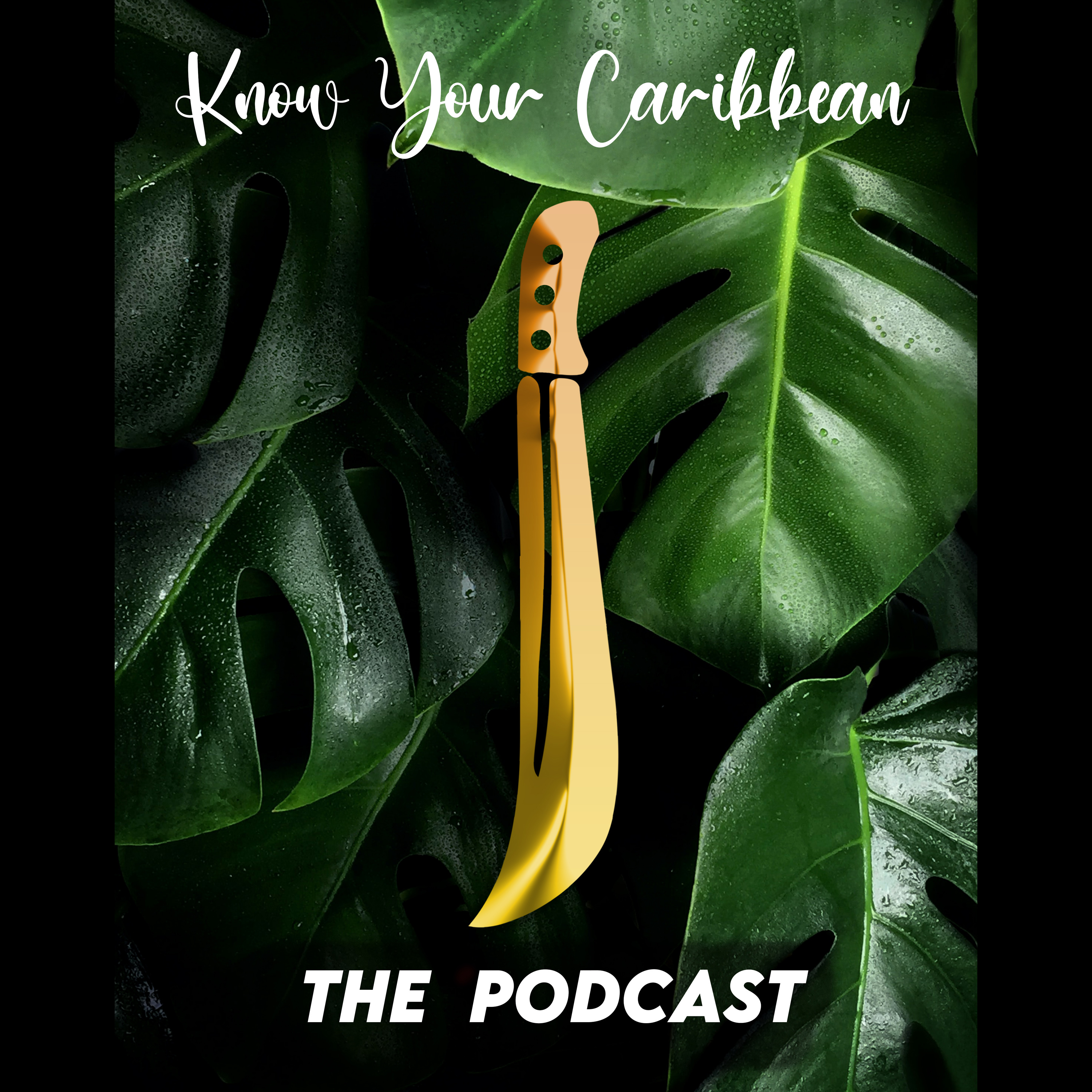 Christianity and the Caribbean - Unknown truth of slavery and the Church