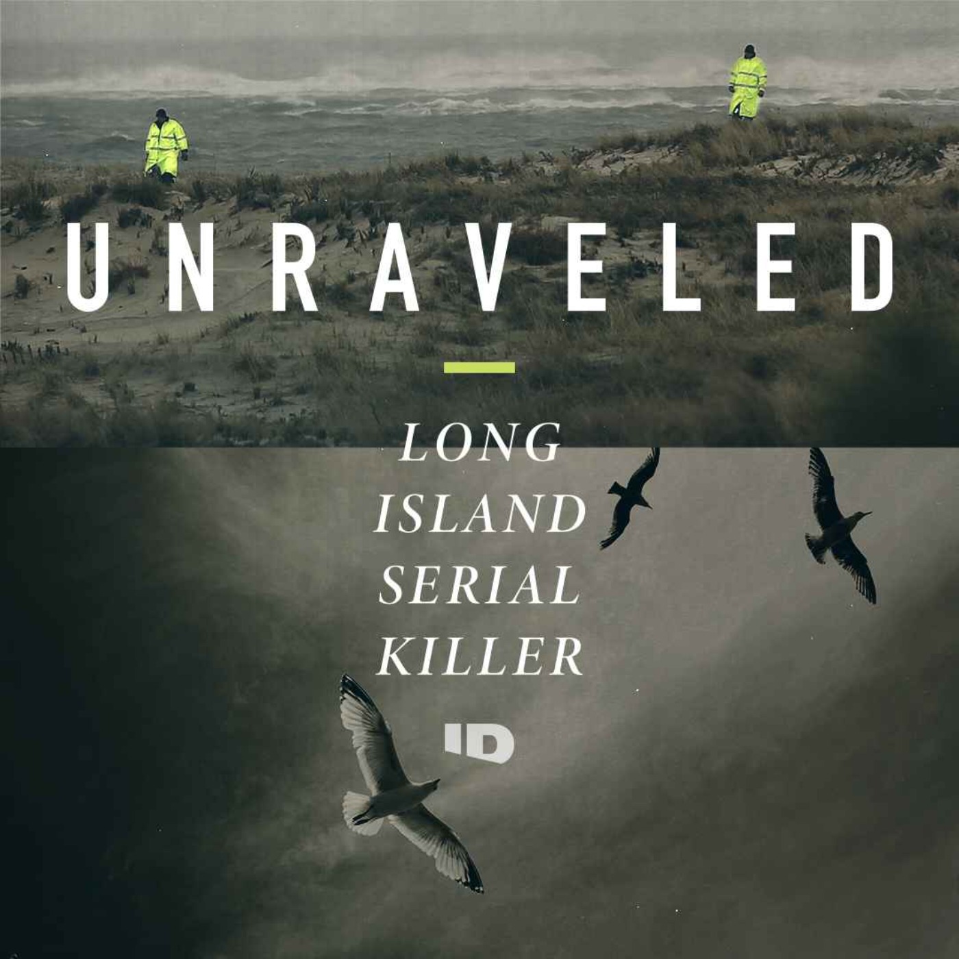 cover art for What to Listen to Next - Unraveled: The Long Island Serial Killer