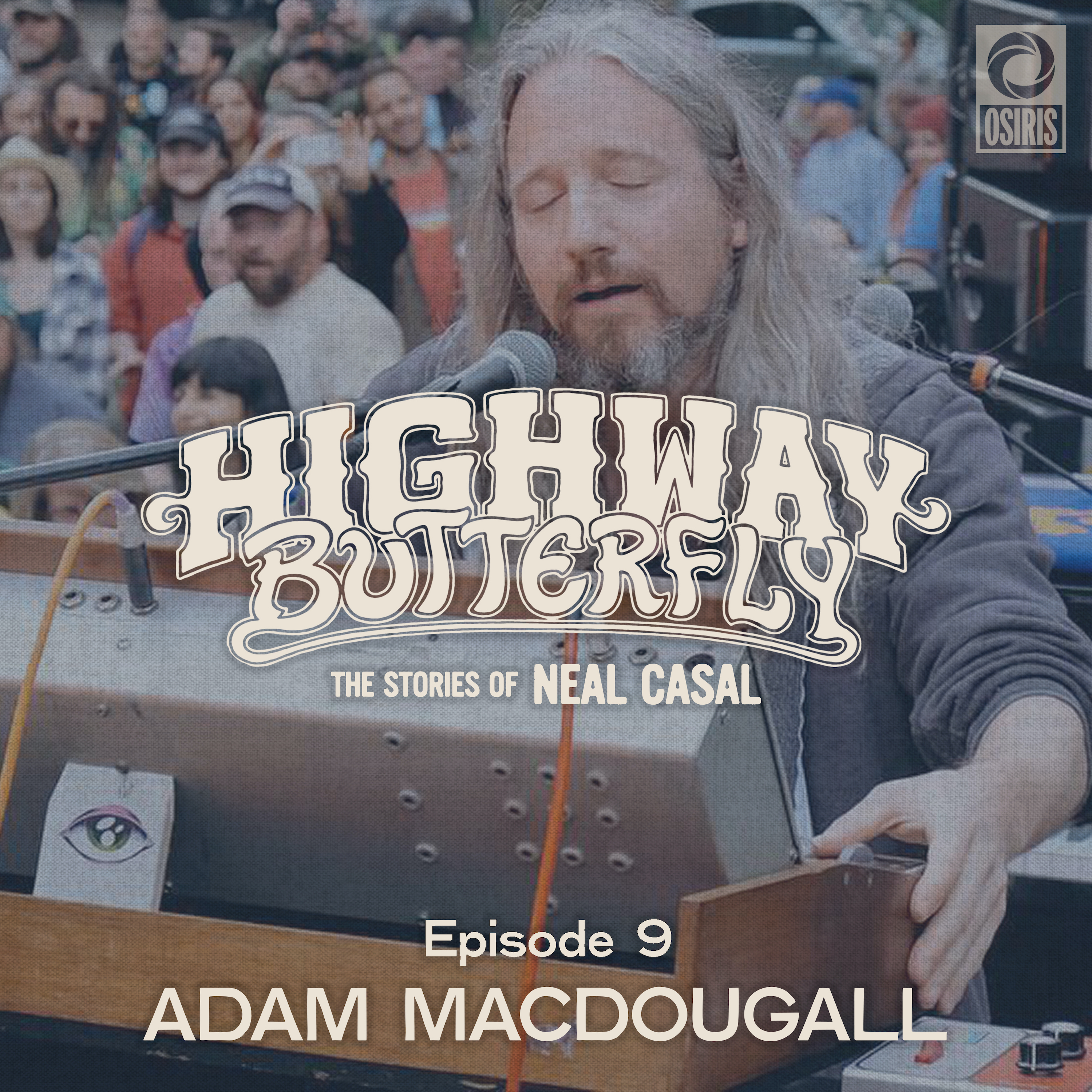 Highway Butterfly: The Stories of Neal Casal