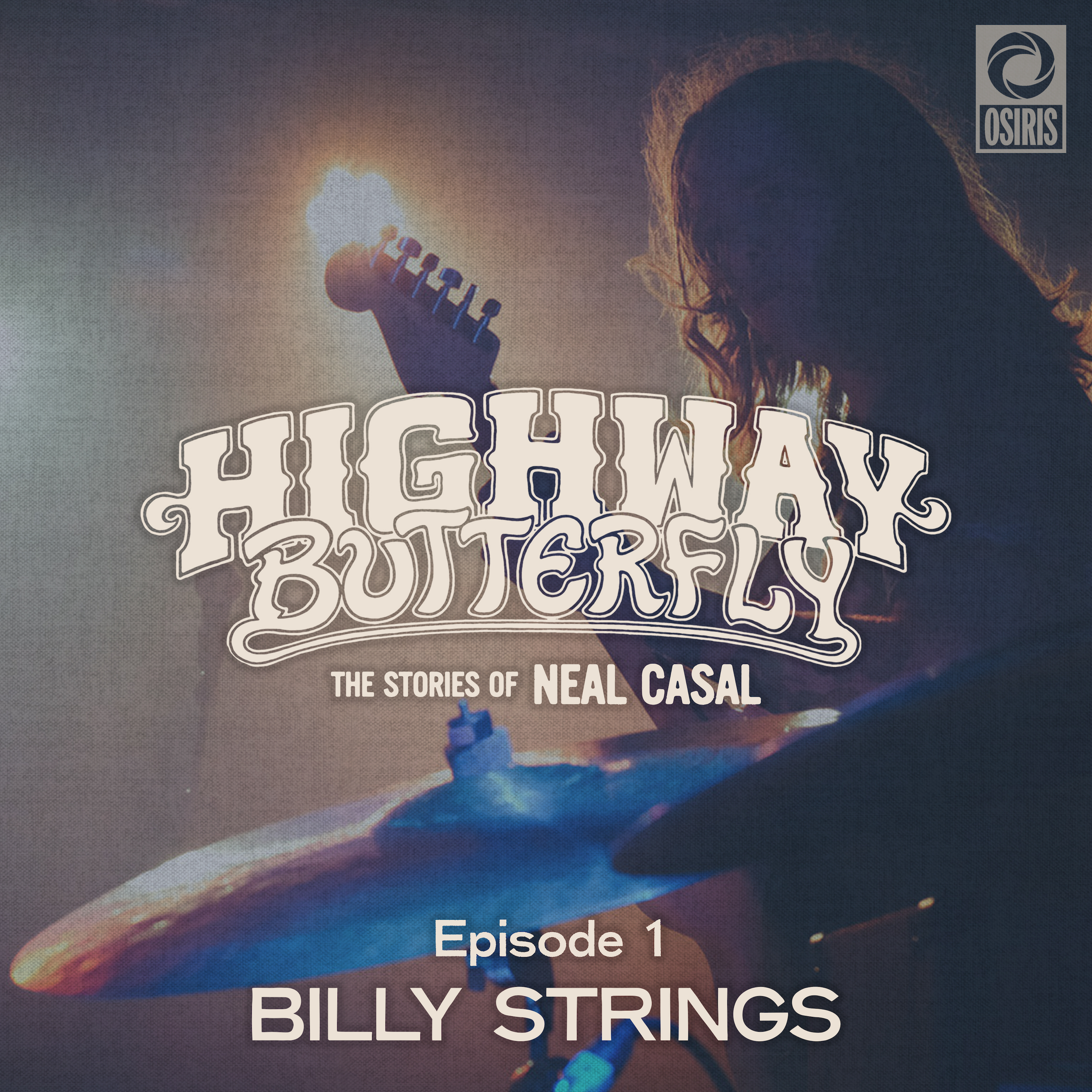 Highway Butterfly: The Stories of Neal Casal