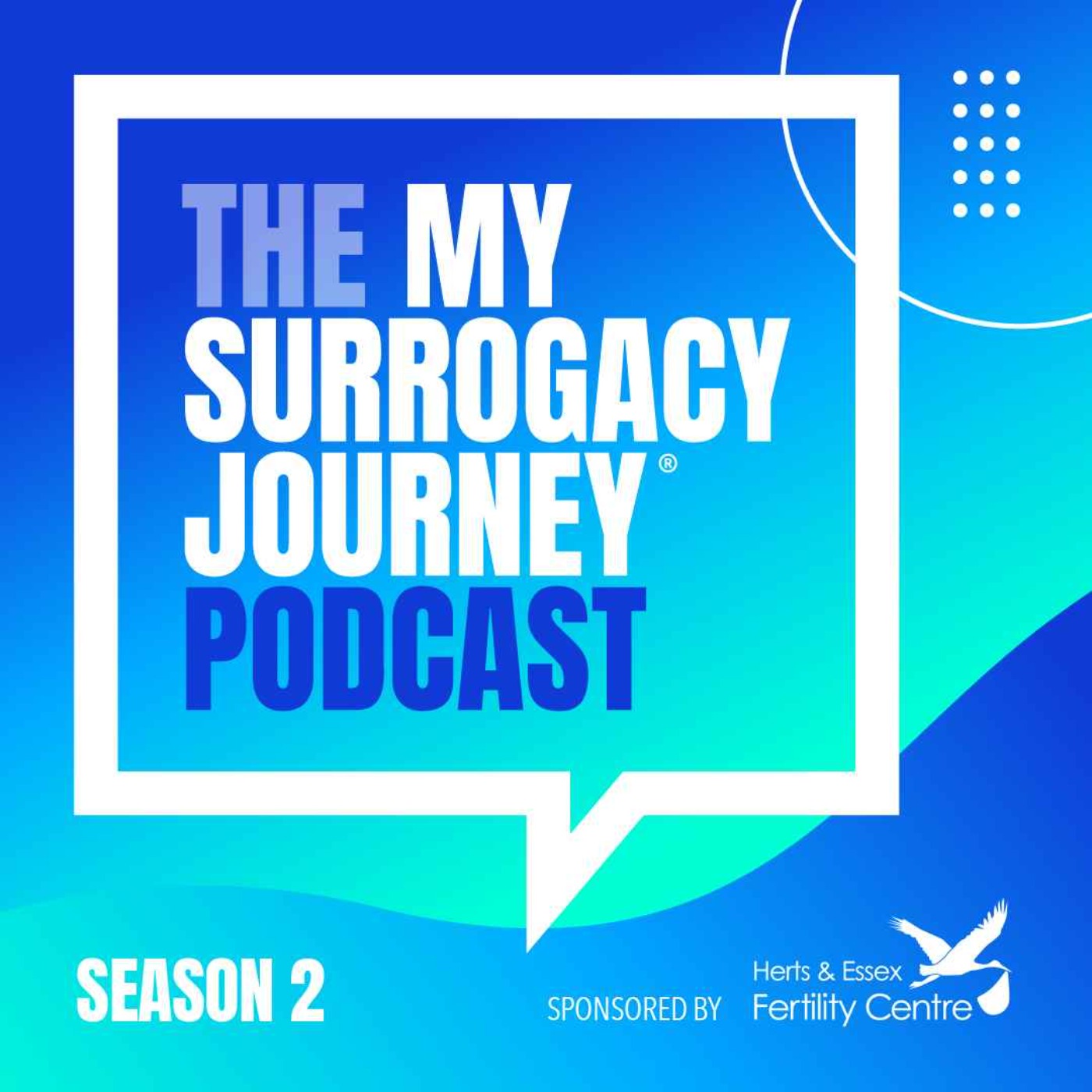 cover art for Episode 9; Fascinating; How to celebrities navigate surrogacy ft. Sarah Williams from PHB