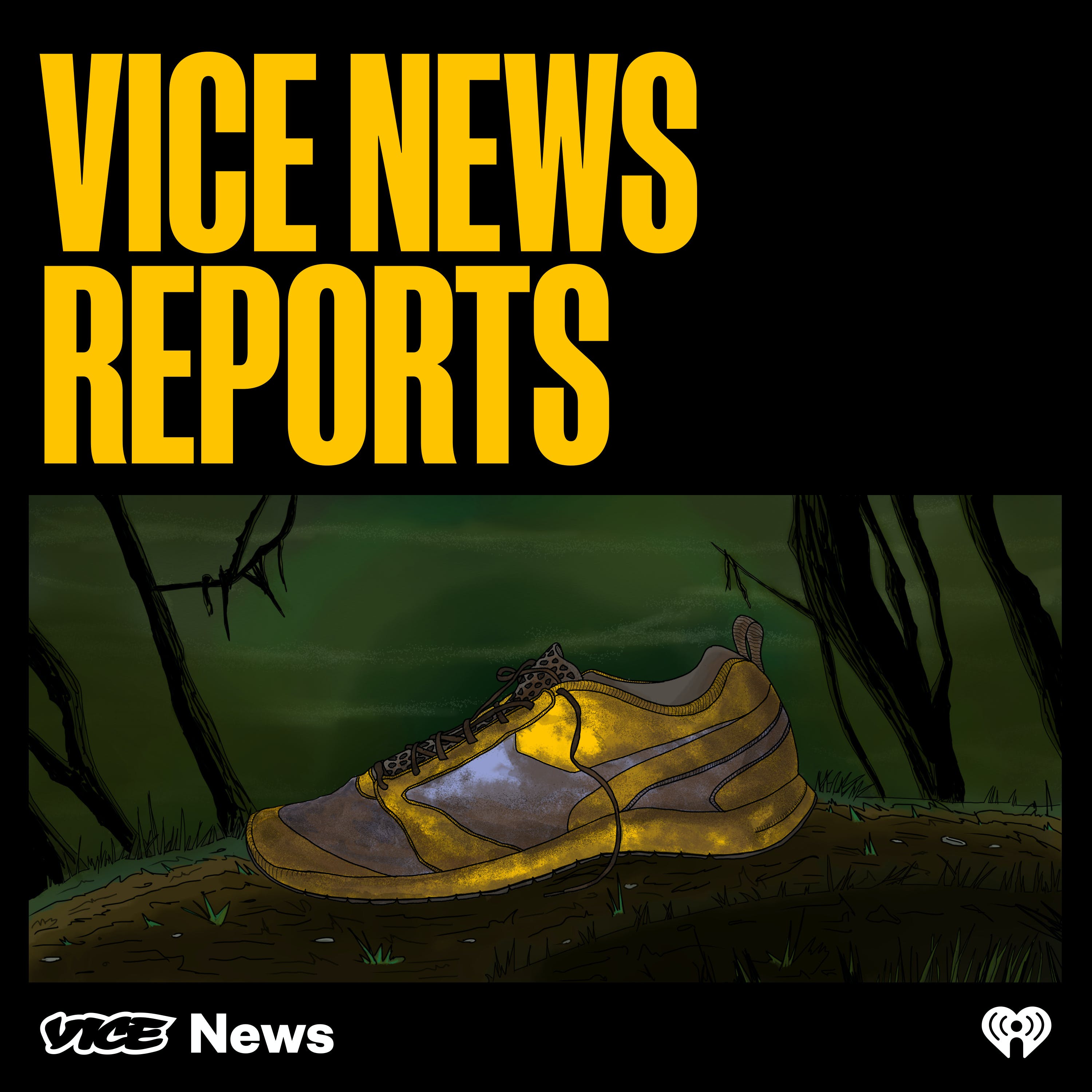 VICE News Reports