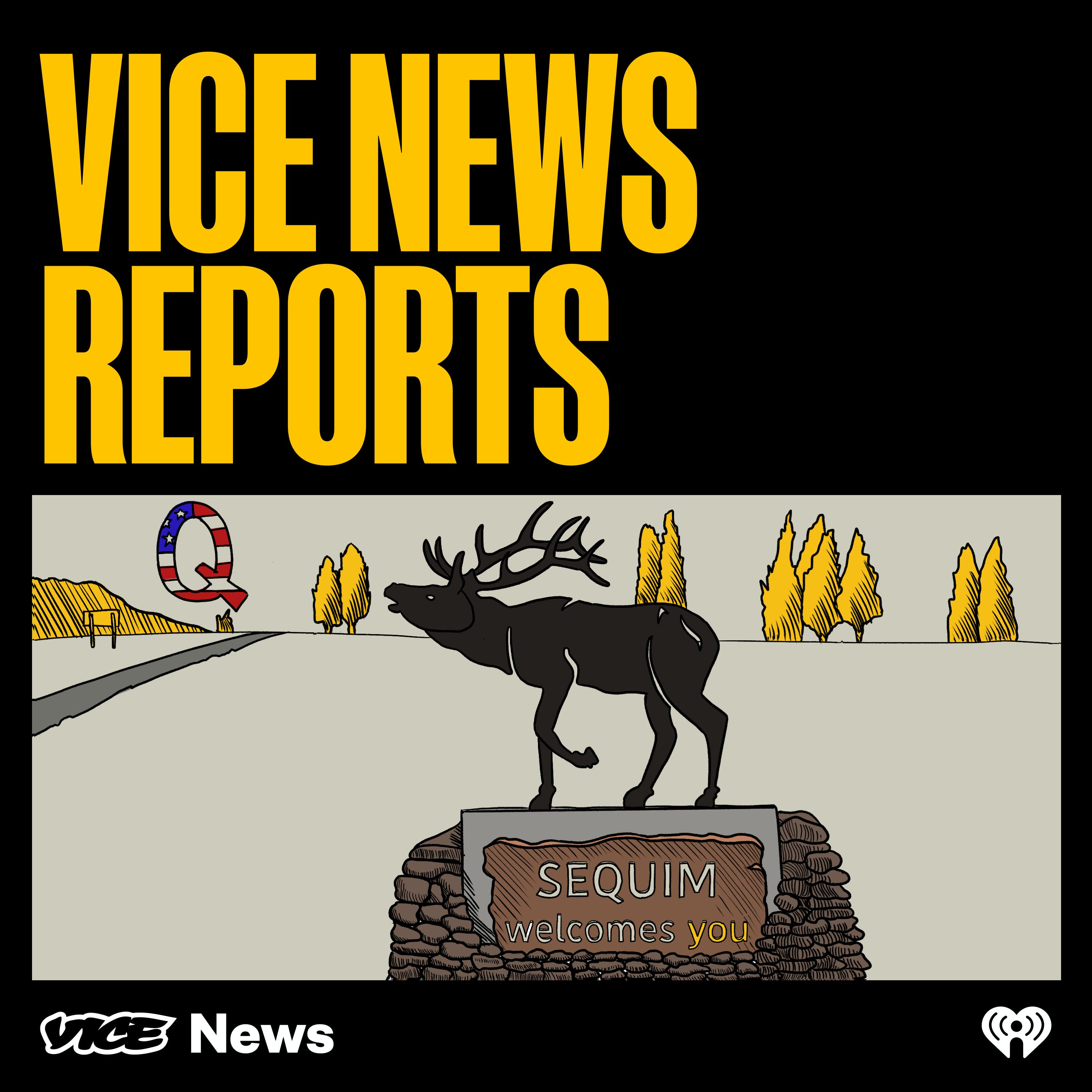 VICE News Reports