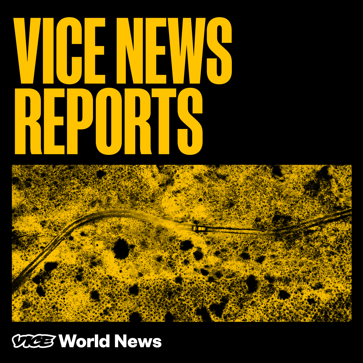 cover art for Introducing: VICE News Reports
