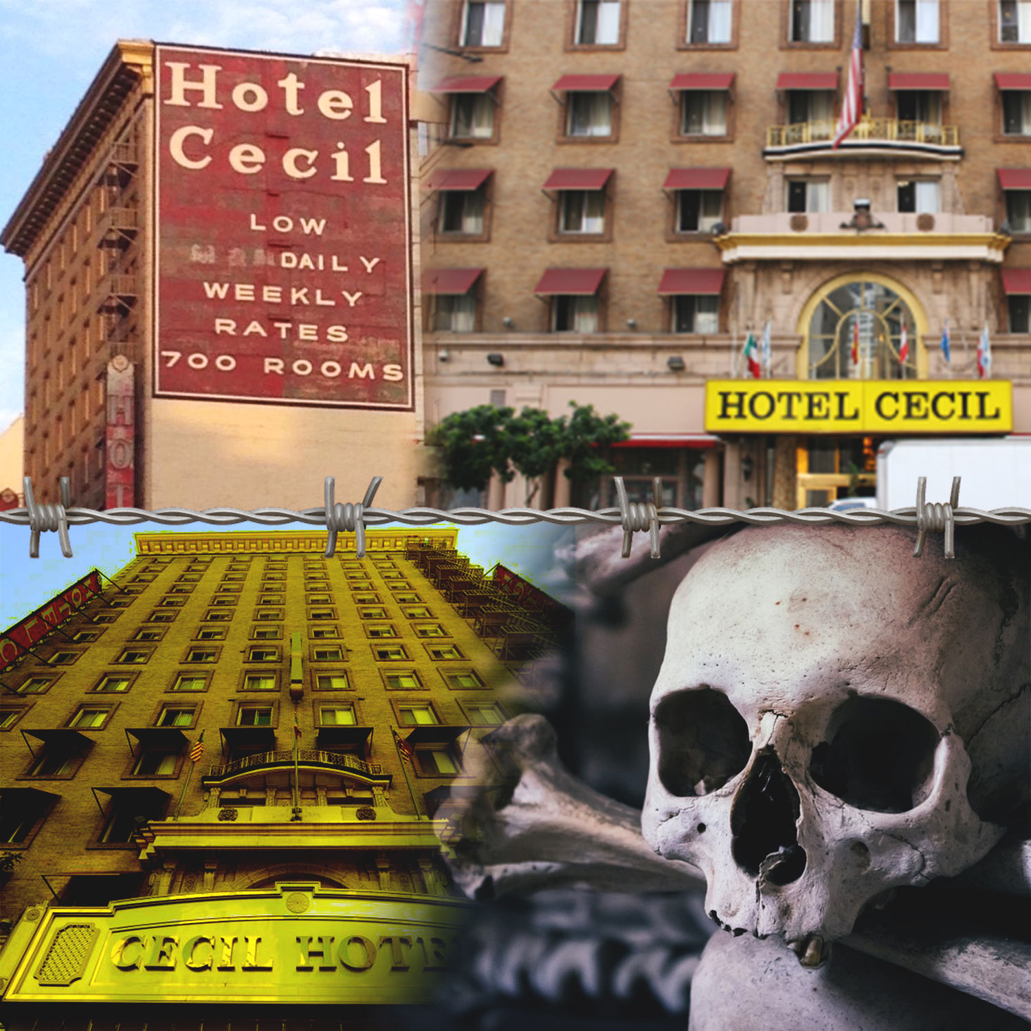 The curse of the Cecil Hotel