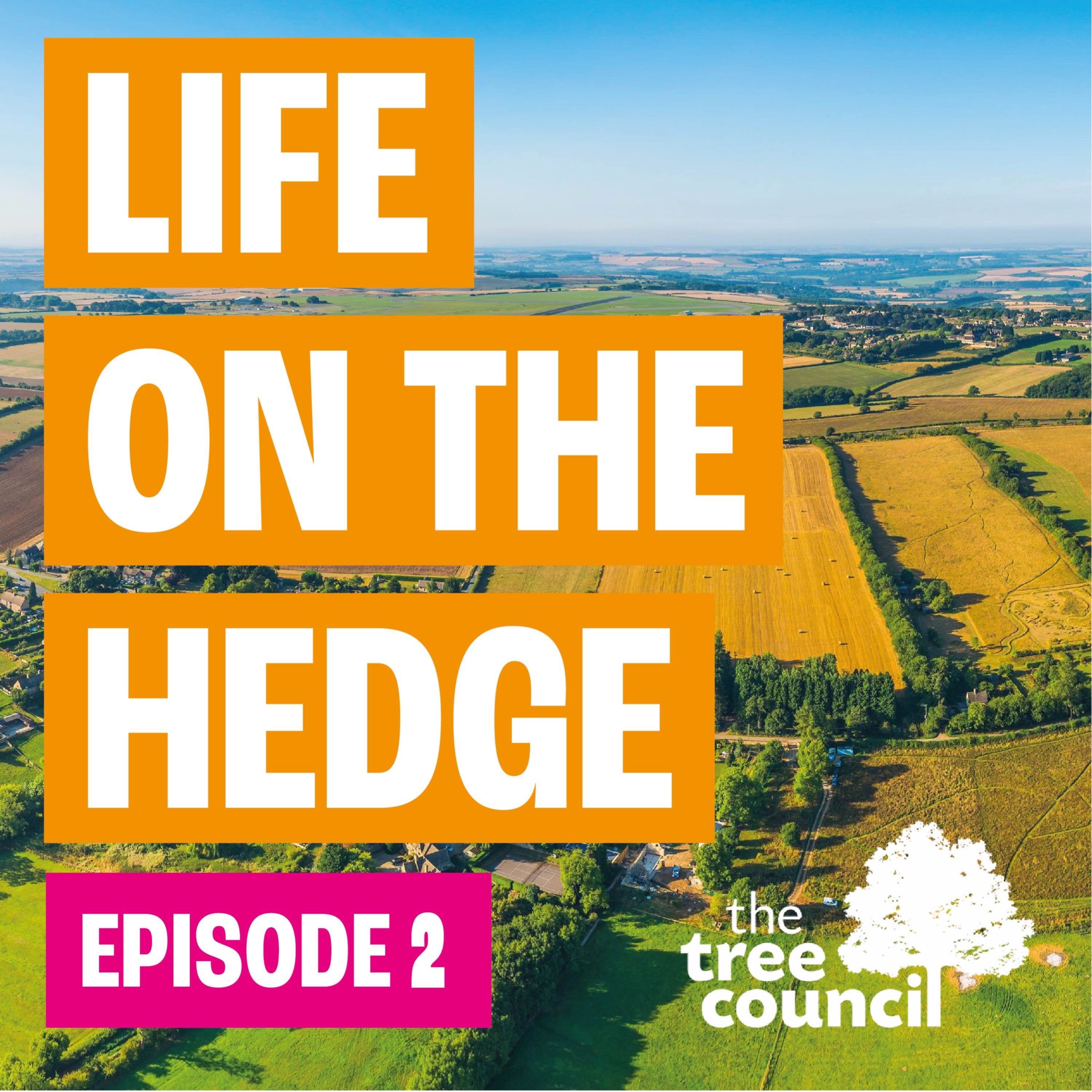 growing-a-greener-future-life-on-the-hedge-on-acast