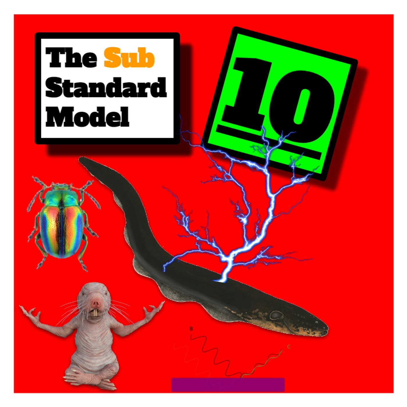 E10: Naked Copper Rainbows