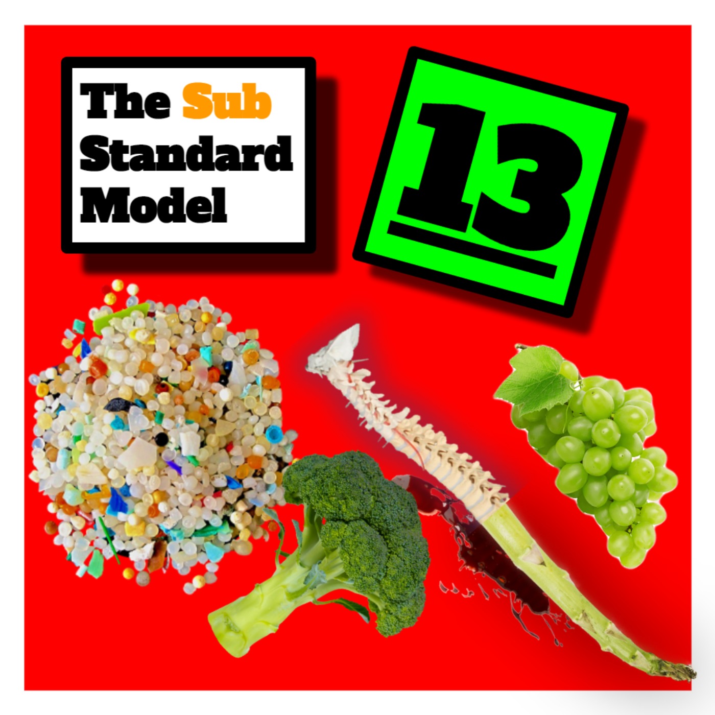 E13: Spinal Asparagus Plastic