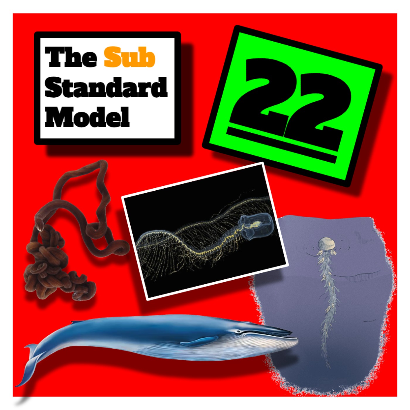 E22: Biggest Smallest Phyla