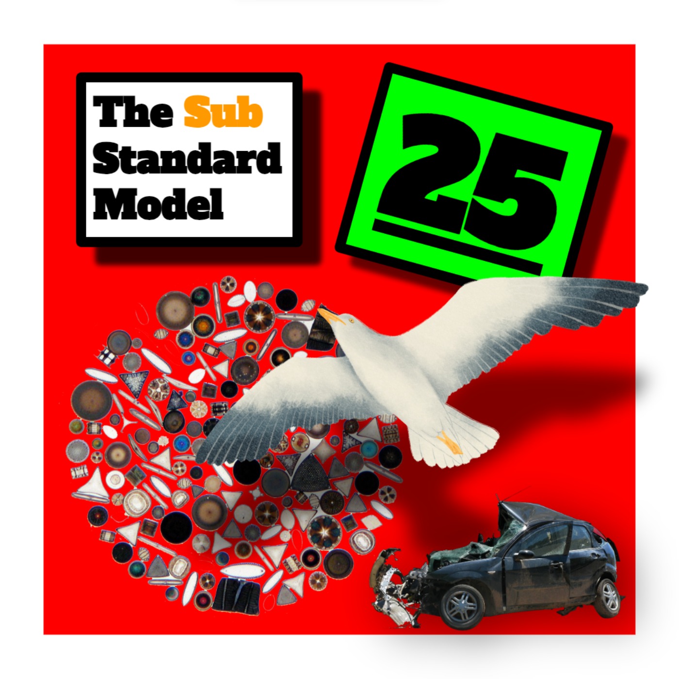 The Sub Standard Model