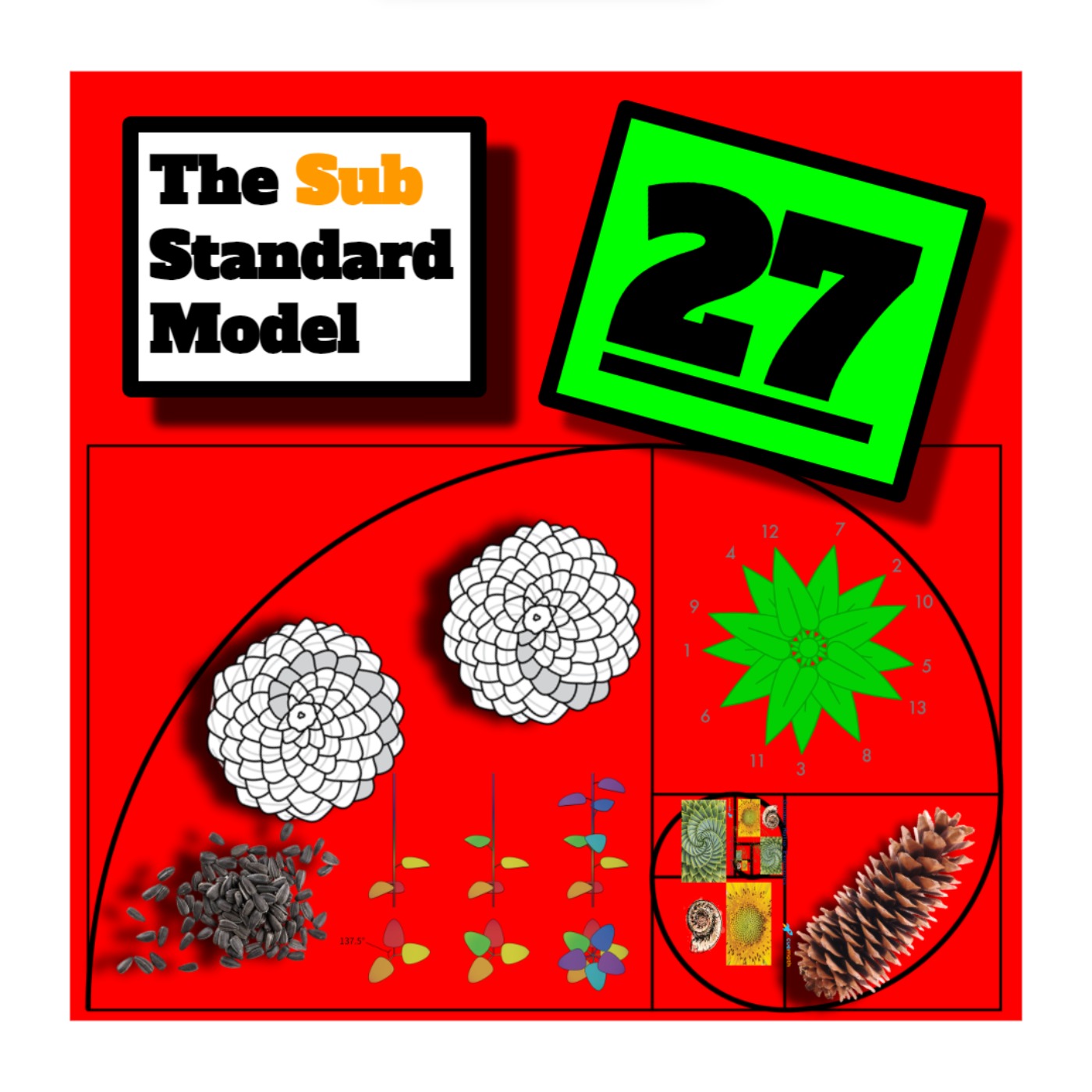 E27: Irrational Petal Schematics