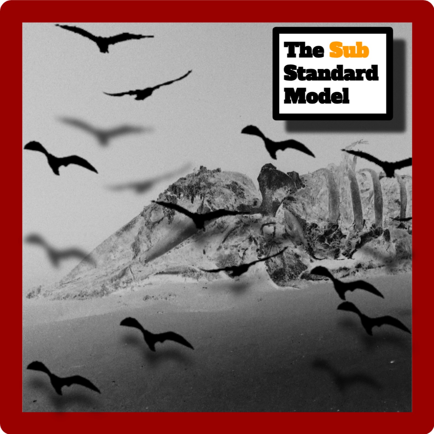 The Fallacy Of Gulls And Whales: Marine Survivors Paradox episode artwork