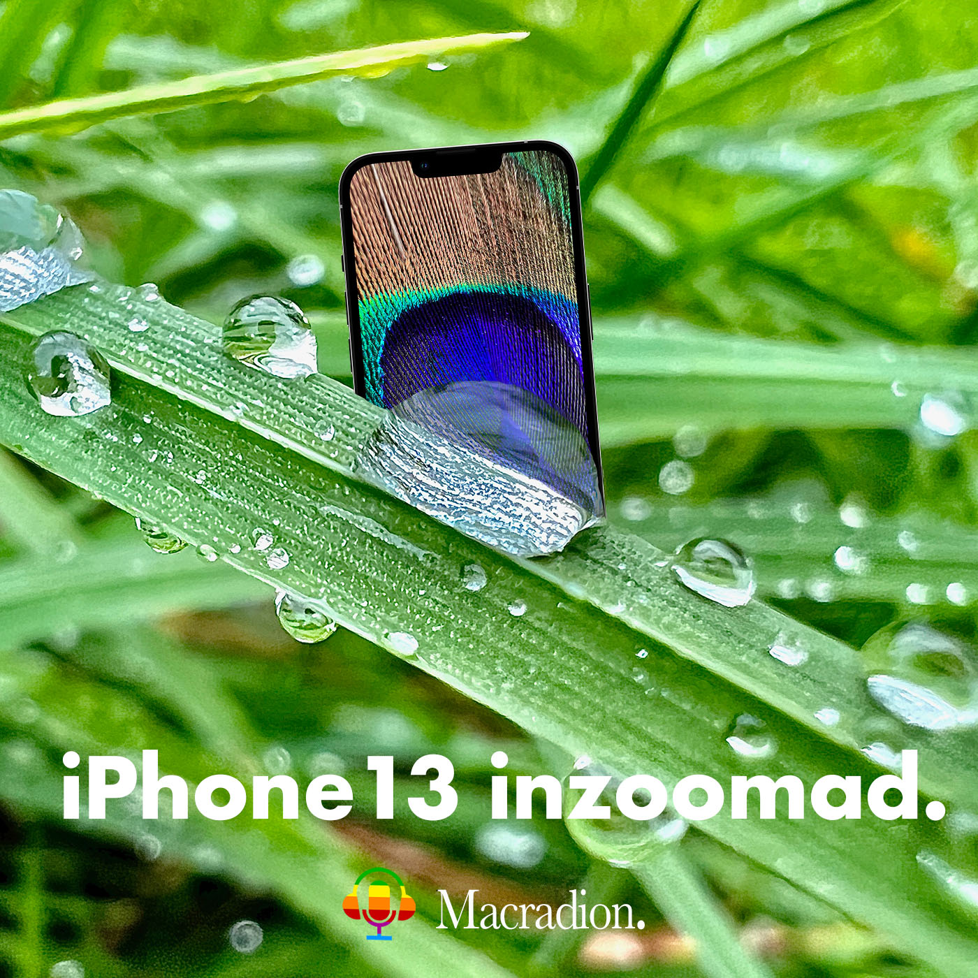 cover art for iPhone 13 inzoomad