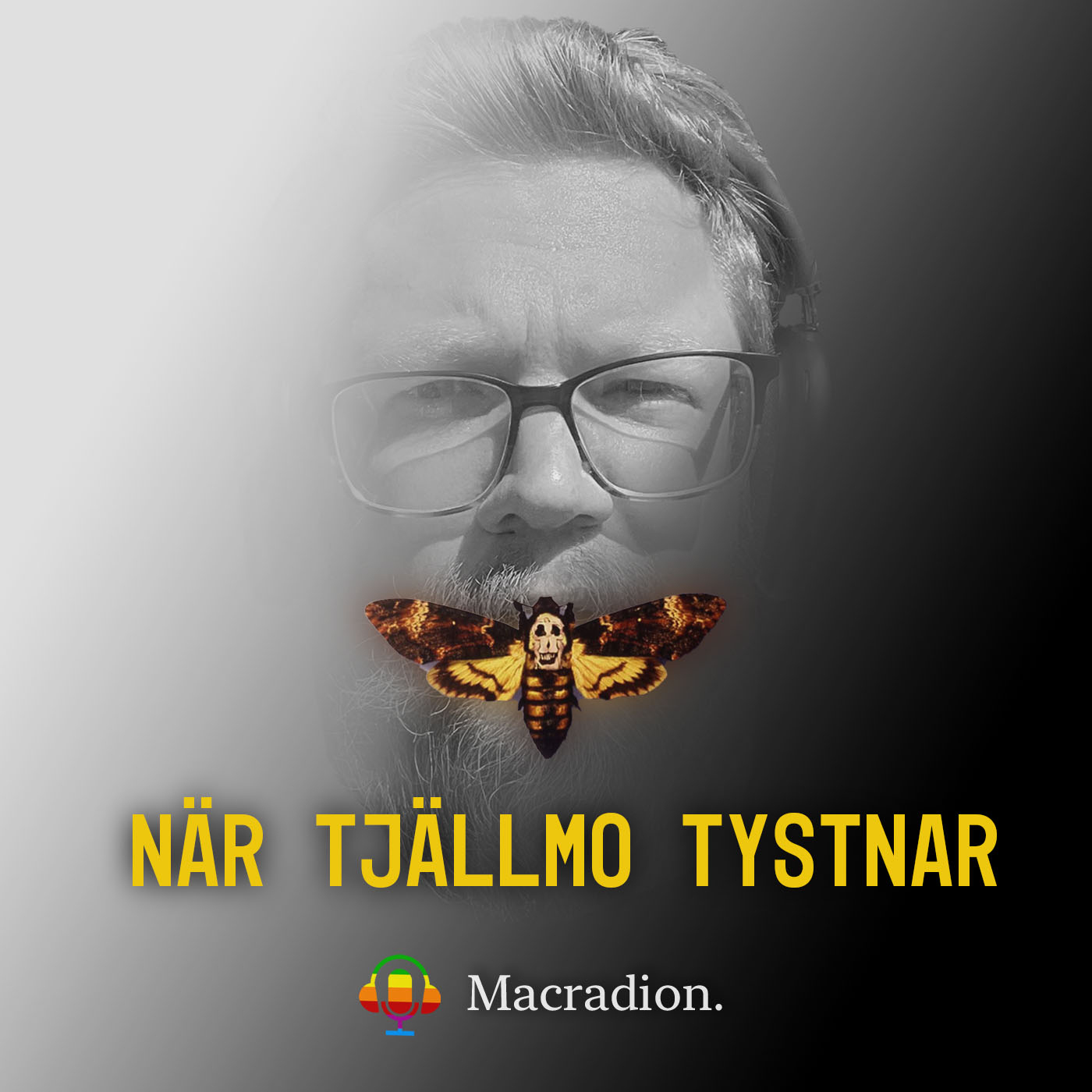 cover art for När Tjällmo tystnar