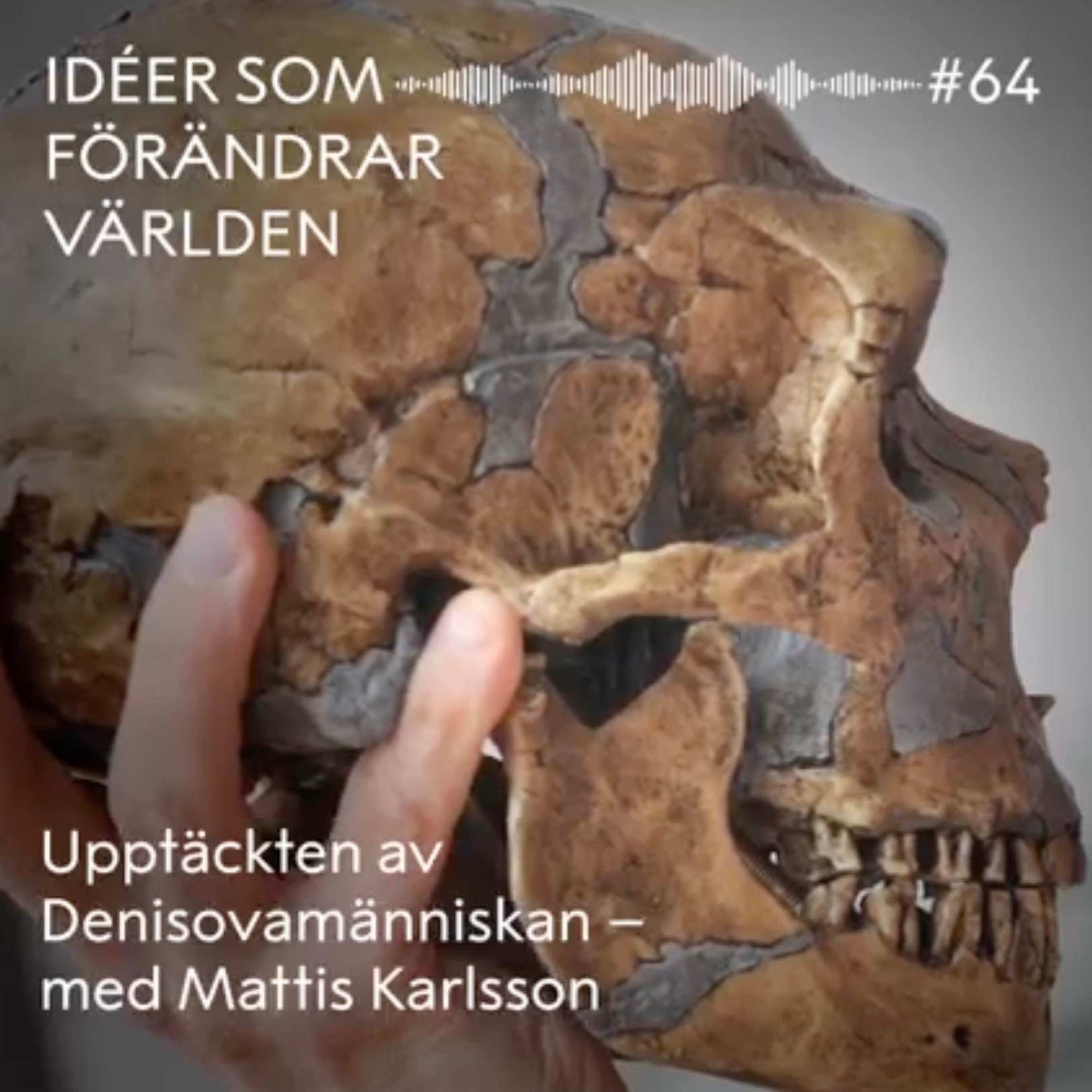 cover art for Upptäckten av Denisovamänniskan – med Mattis Karlsson