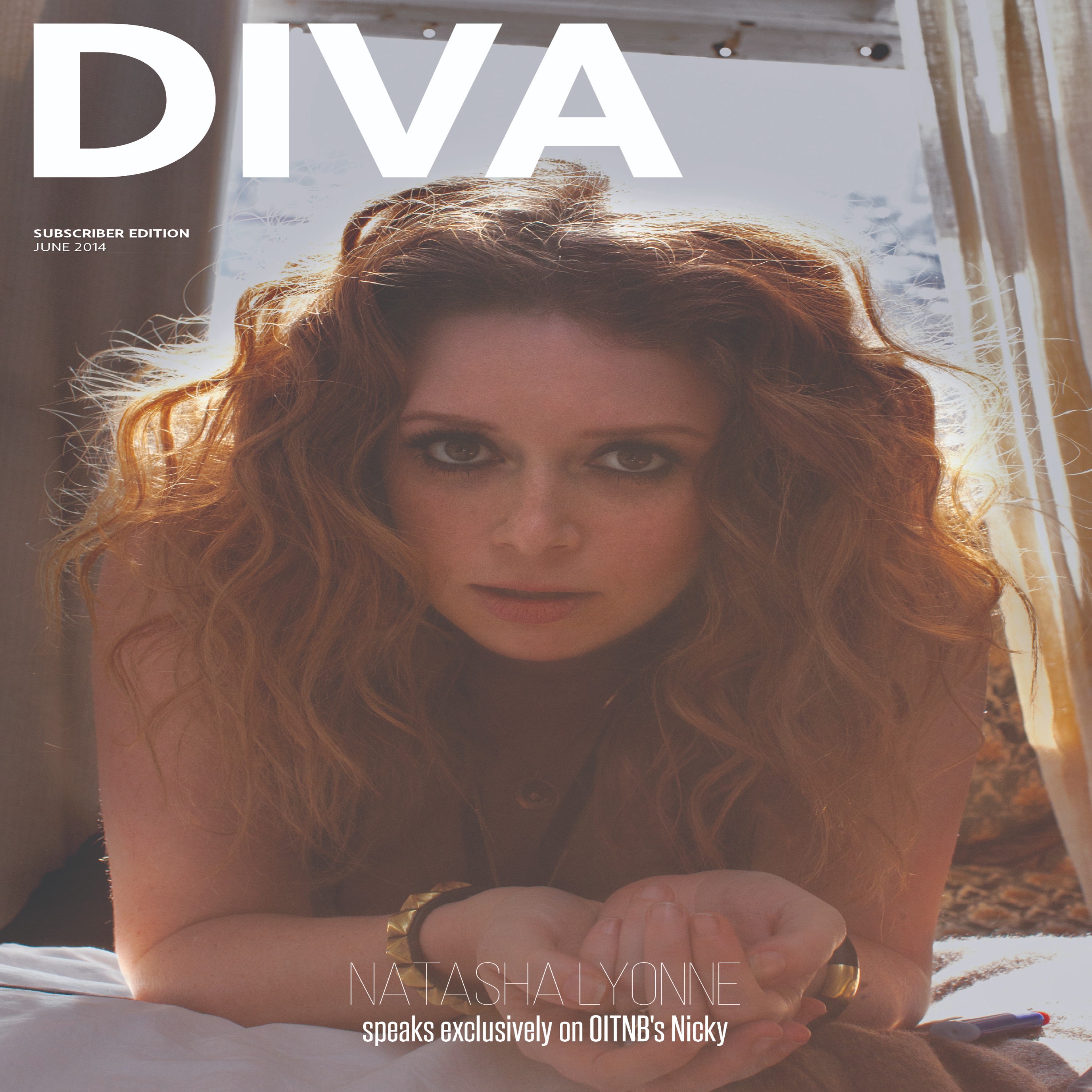 cover art for DIVA: 2014