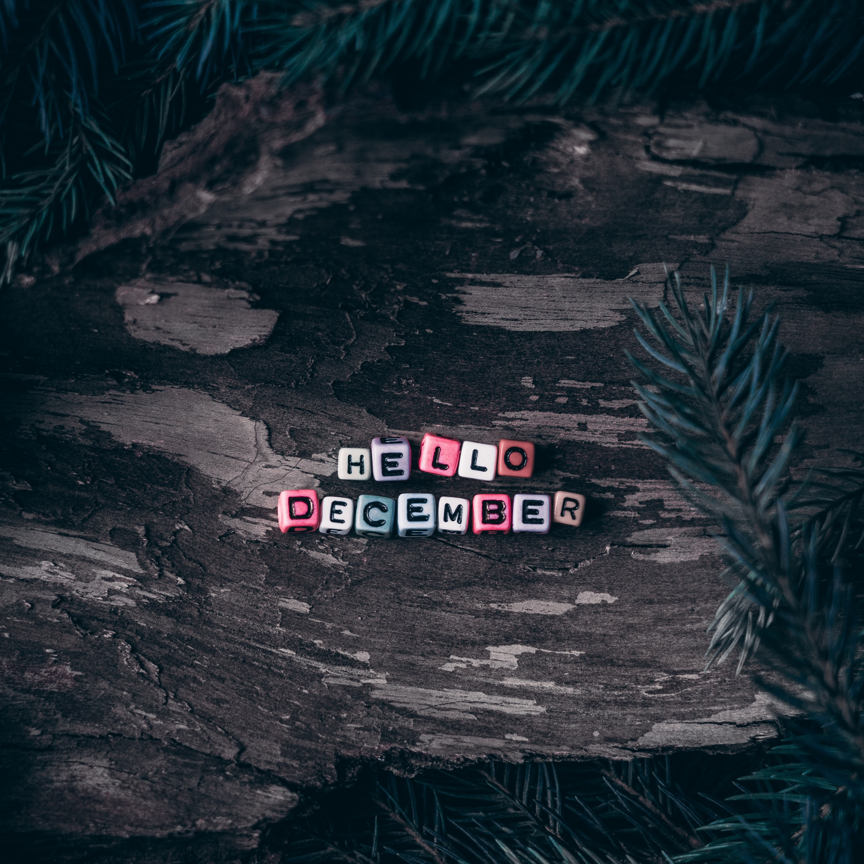 Happy Holidays episode artwork