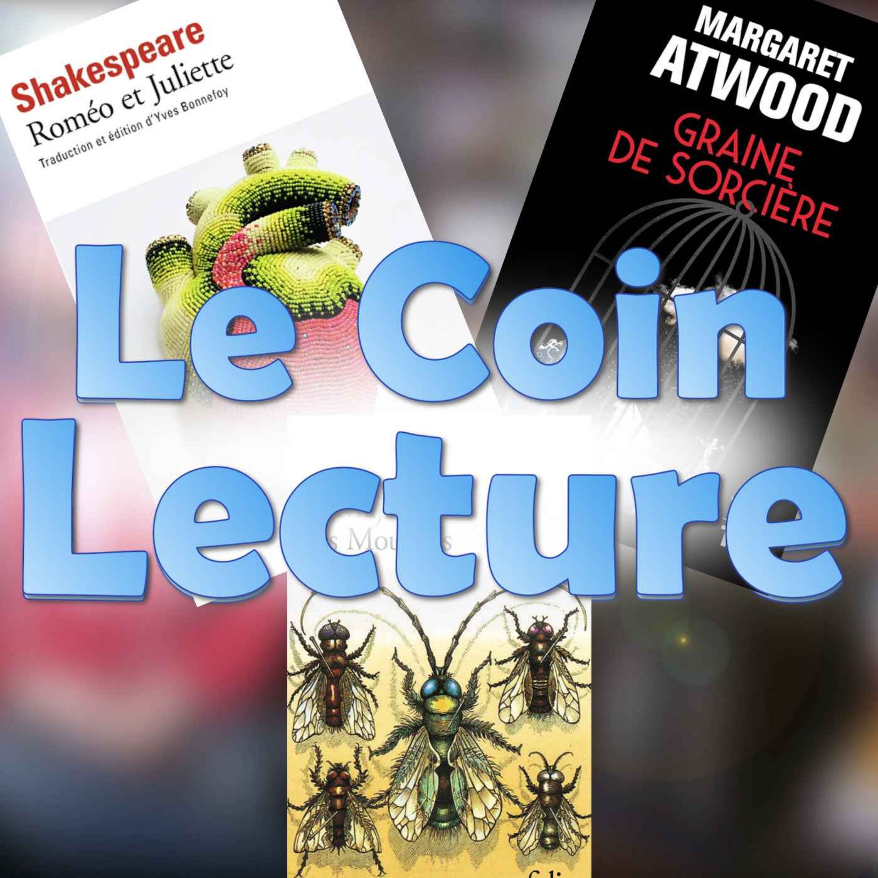Le Coin Lecture