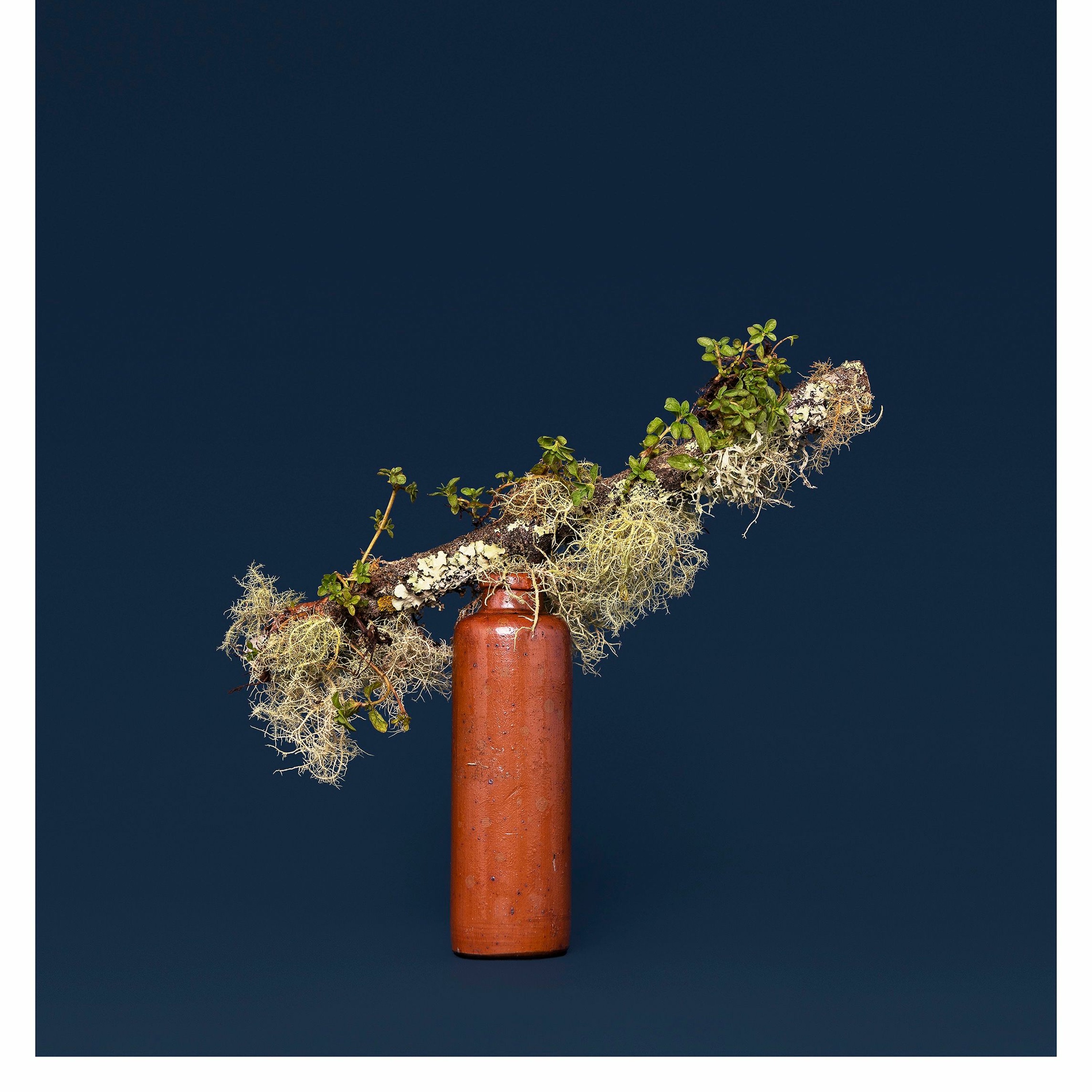 Conversations with NZ Photographers