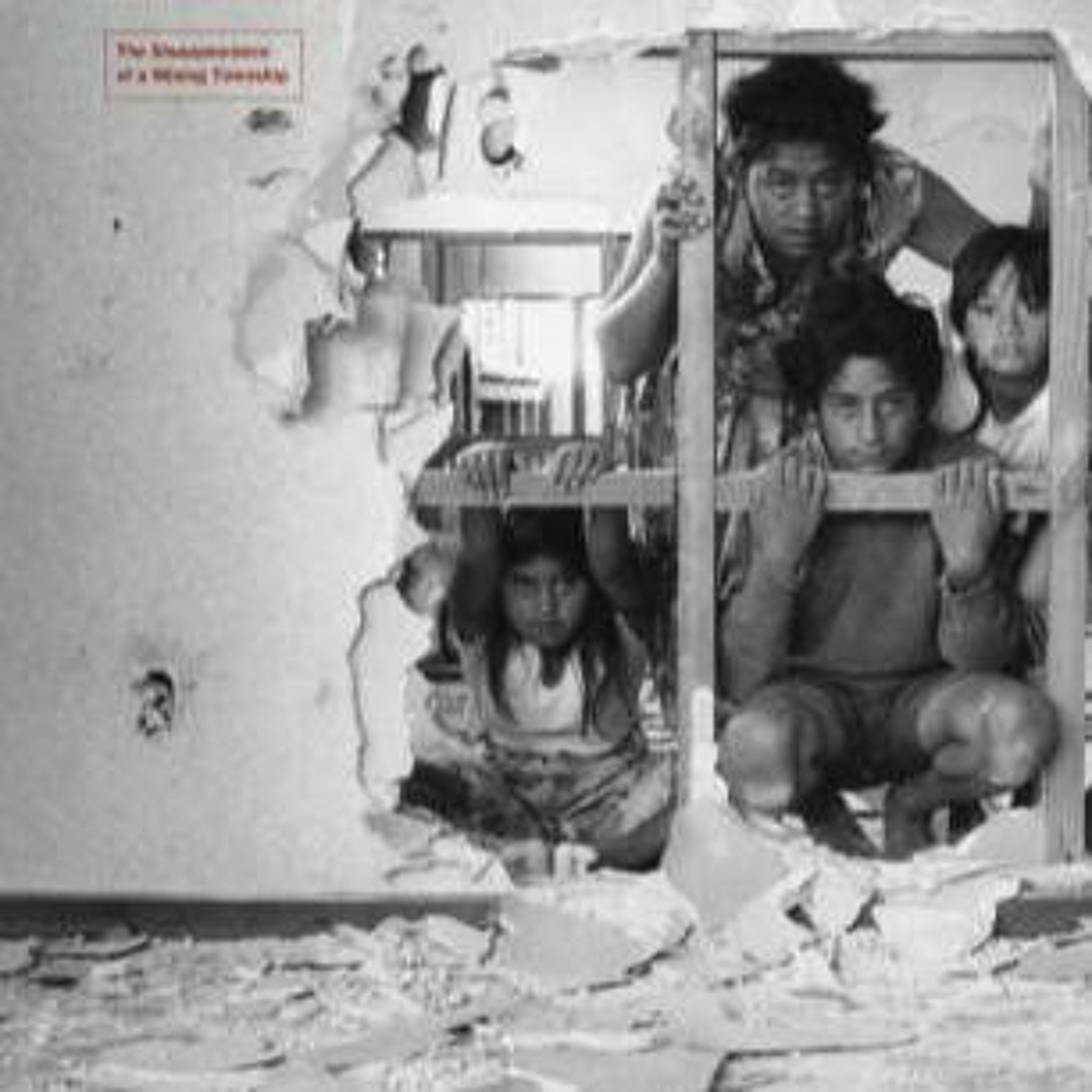 Conversations with New Zealand Photographers - David Cook episode artwork