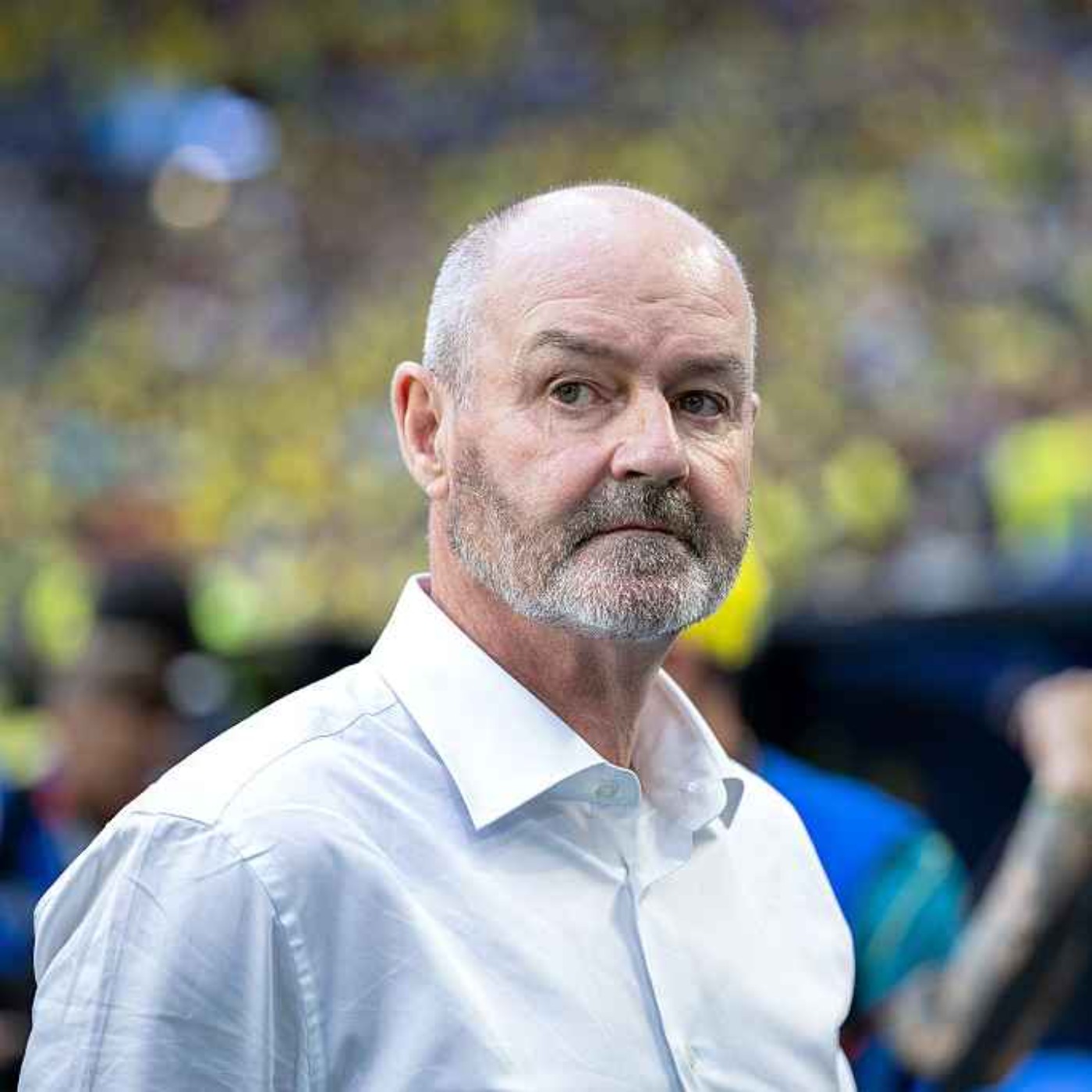 A Knighthood for Steve Clarke?!