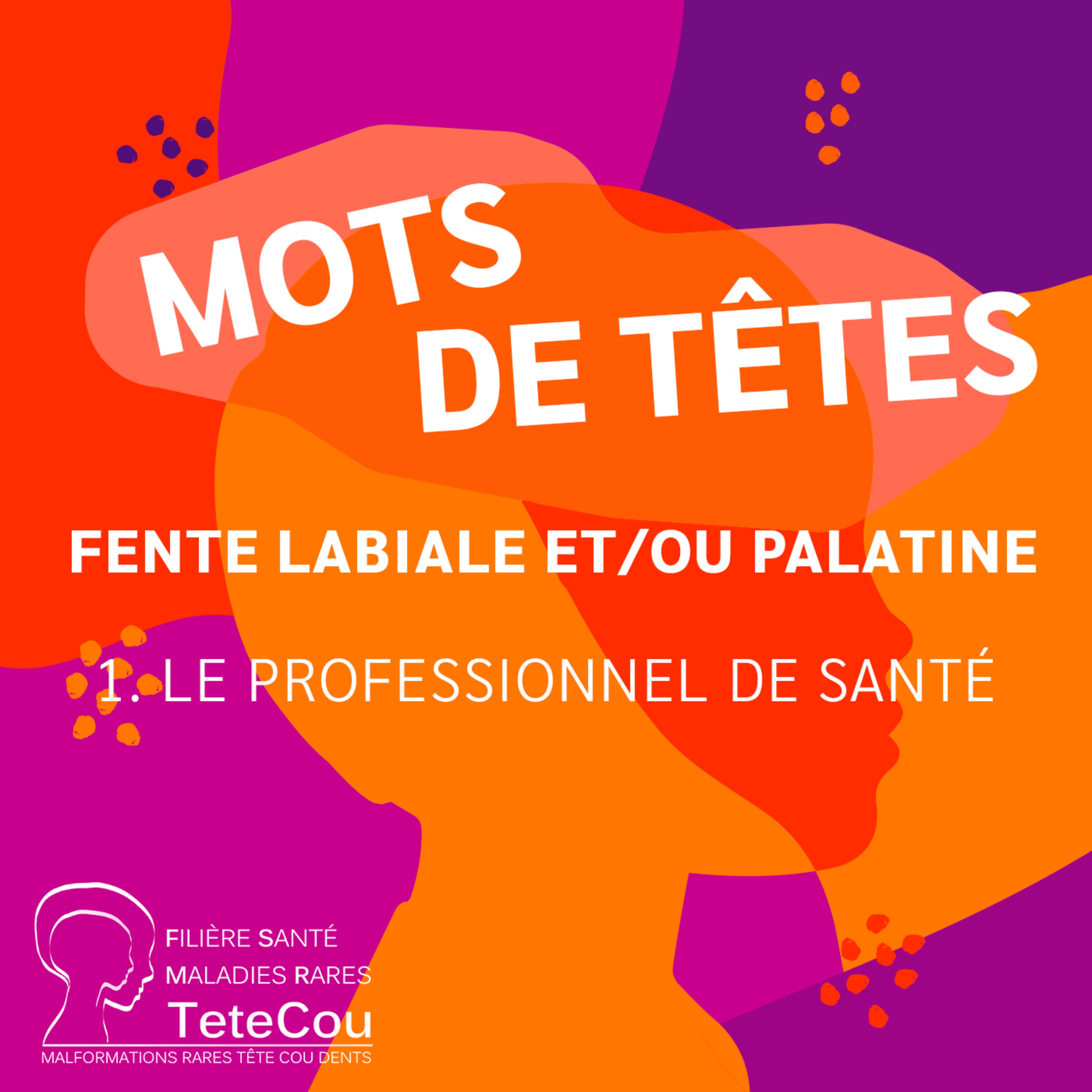 La fente labiale et/ou palatine - EP1 : Le professionnel de santé