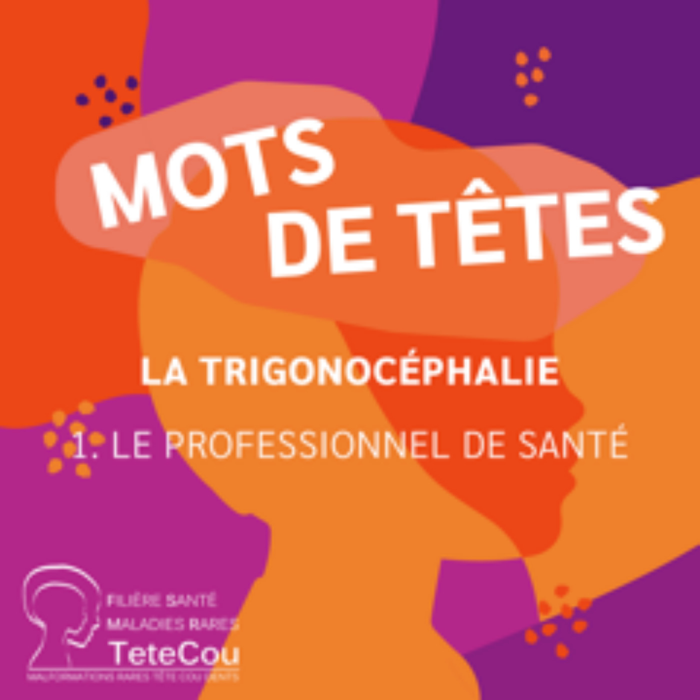 La trigonocéphalie - EP1 : Le profesionnel de santé