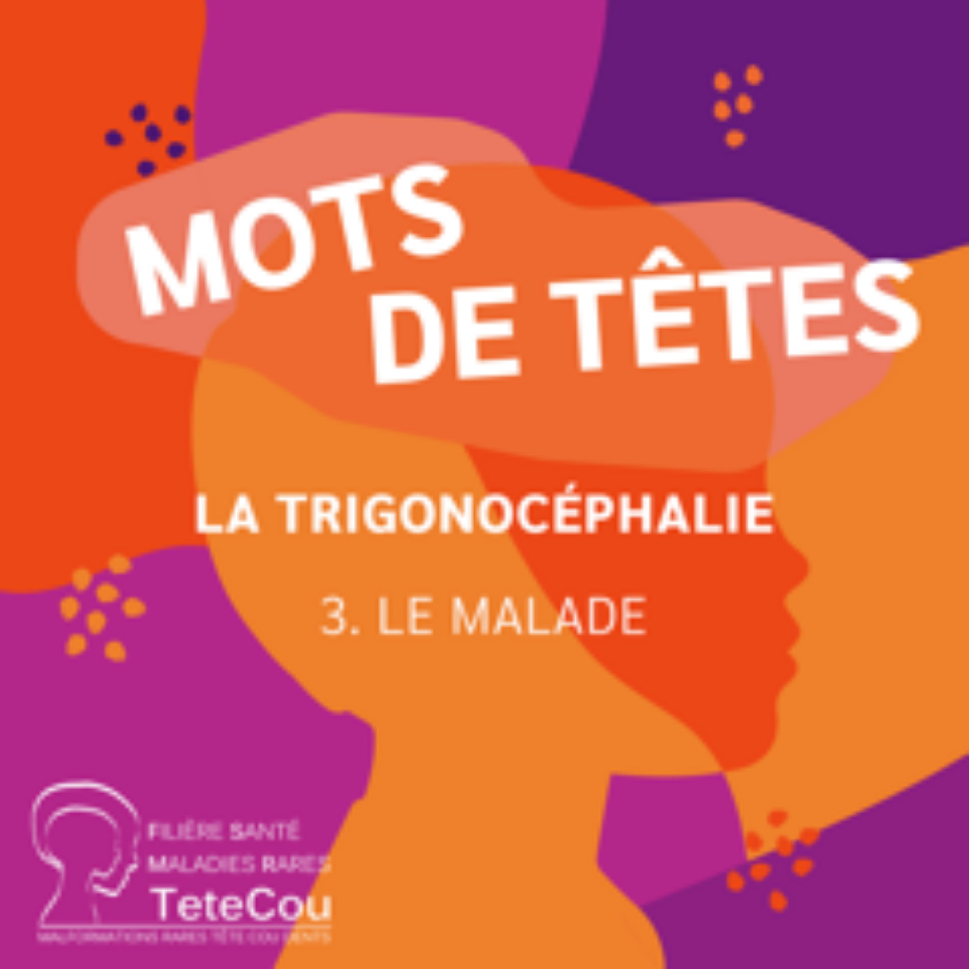 La trigonocéphalie - EP3 : le malade