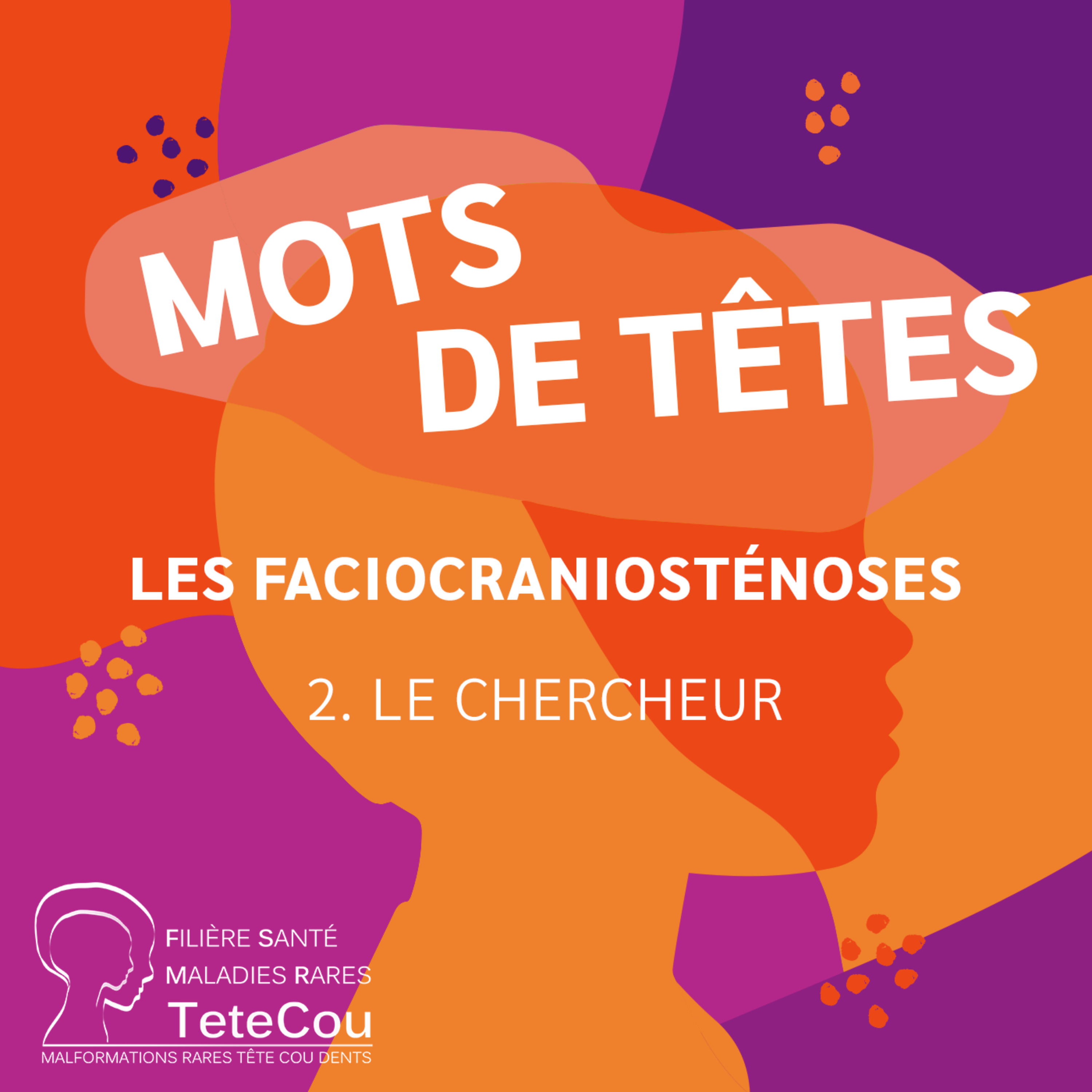 Les faciocraniosténoses – EP2 : Le chercheur