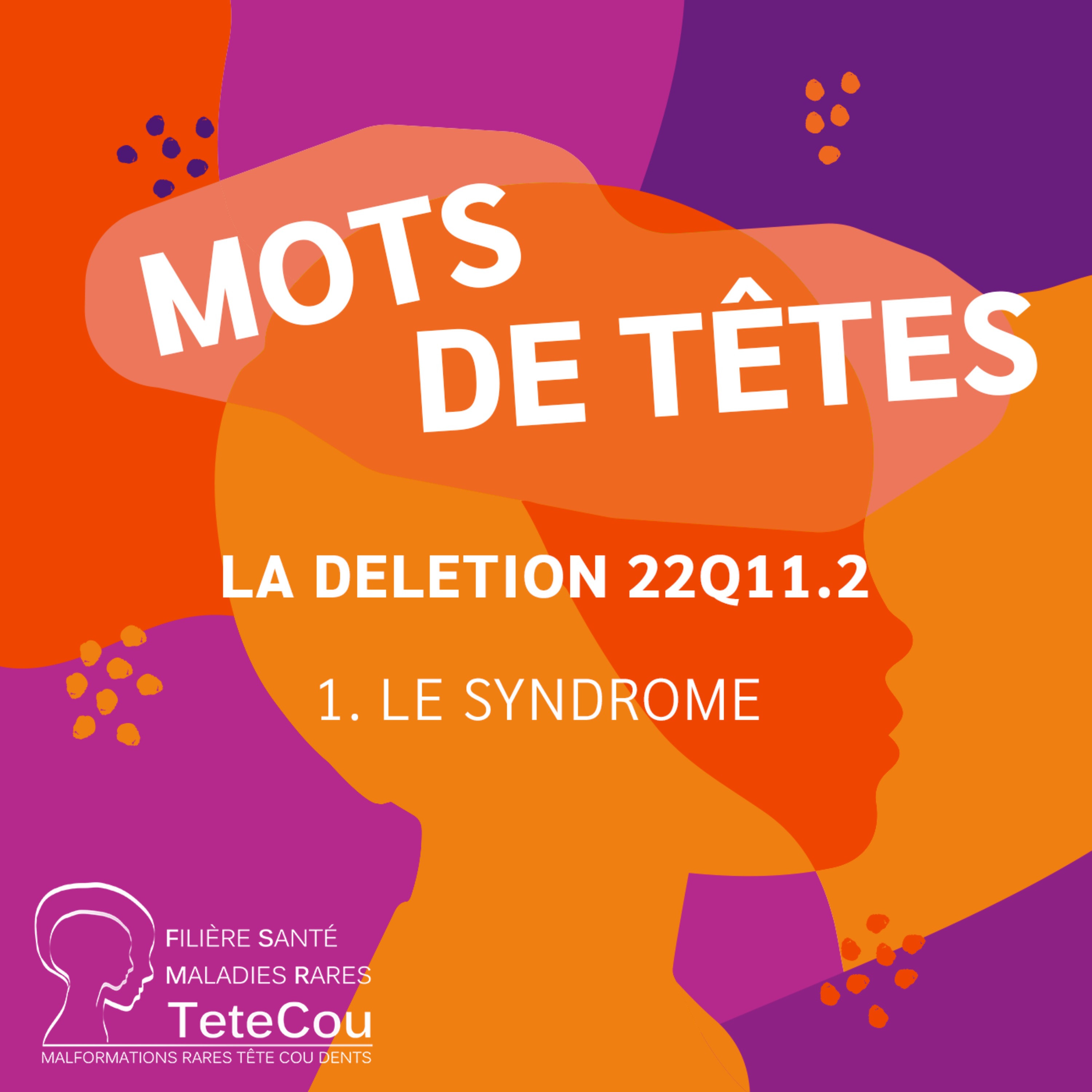 La délétion 22q11.2 – EP1 : Le syndrome