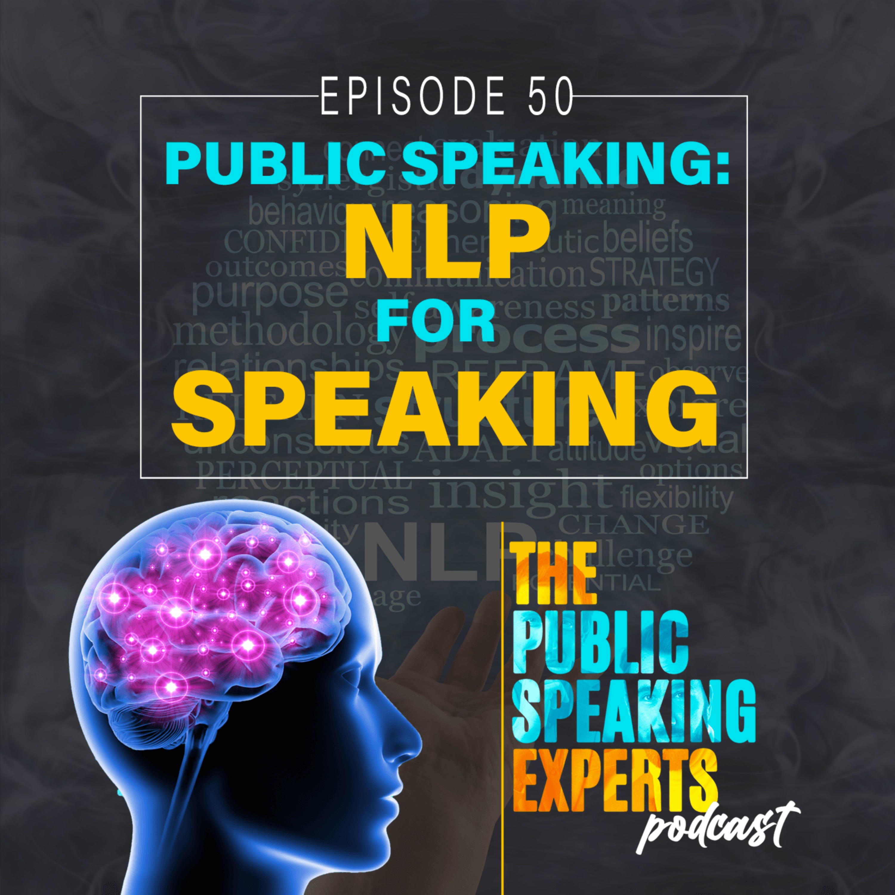 The Public Speaking Experts Podcast