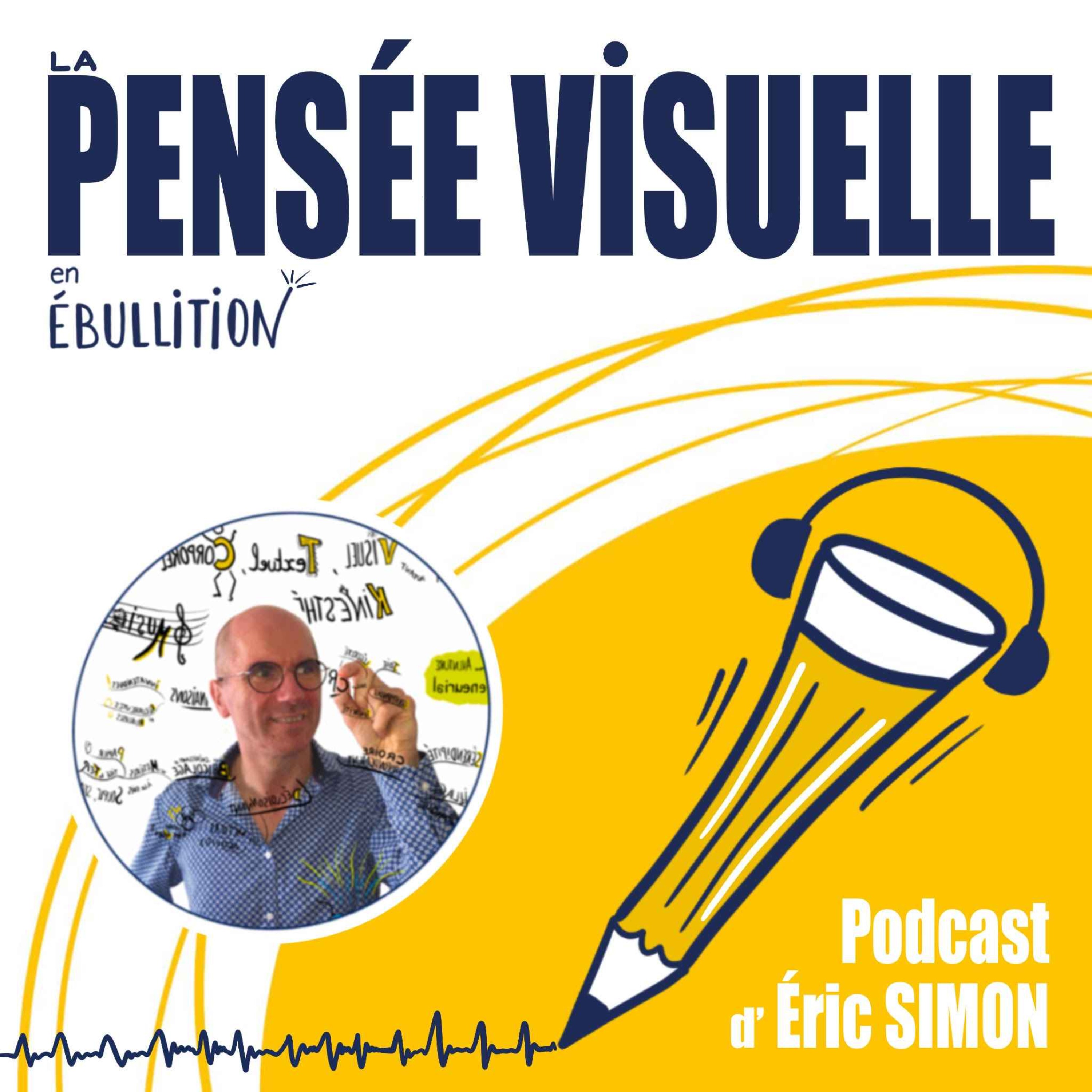 Eté 2026-La face sensible de la pensée visuelle episode artwork