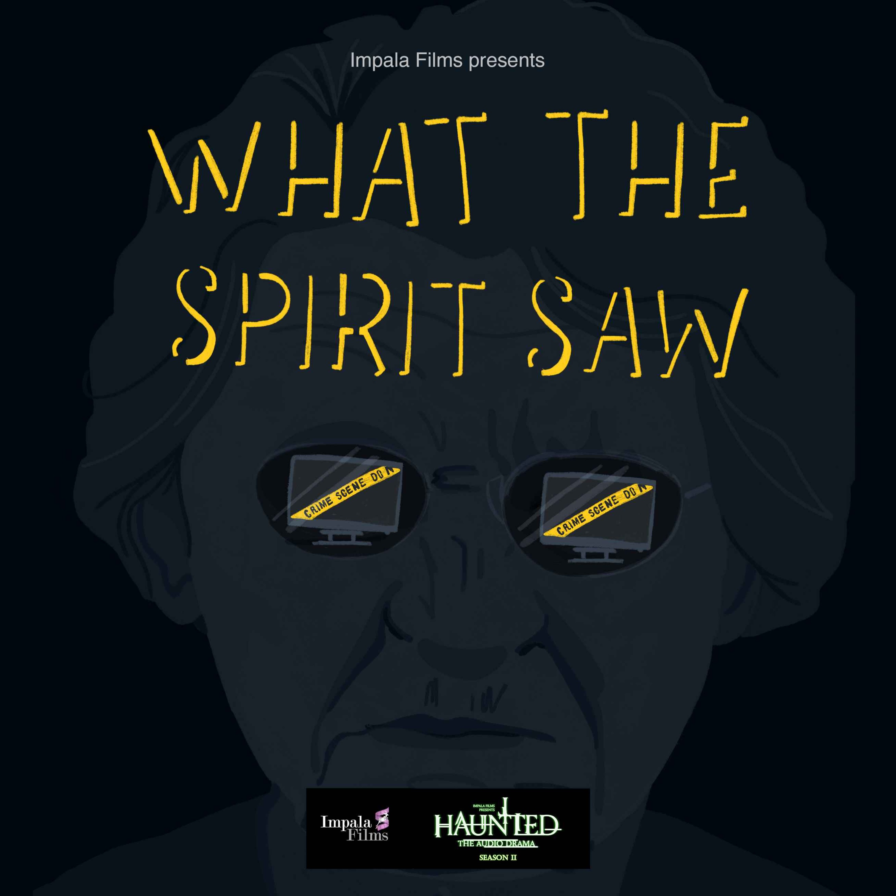 What The Spirit Saw Part 1 of 2 - podcast episode cover