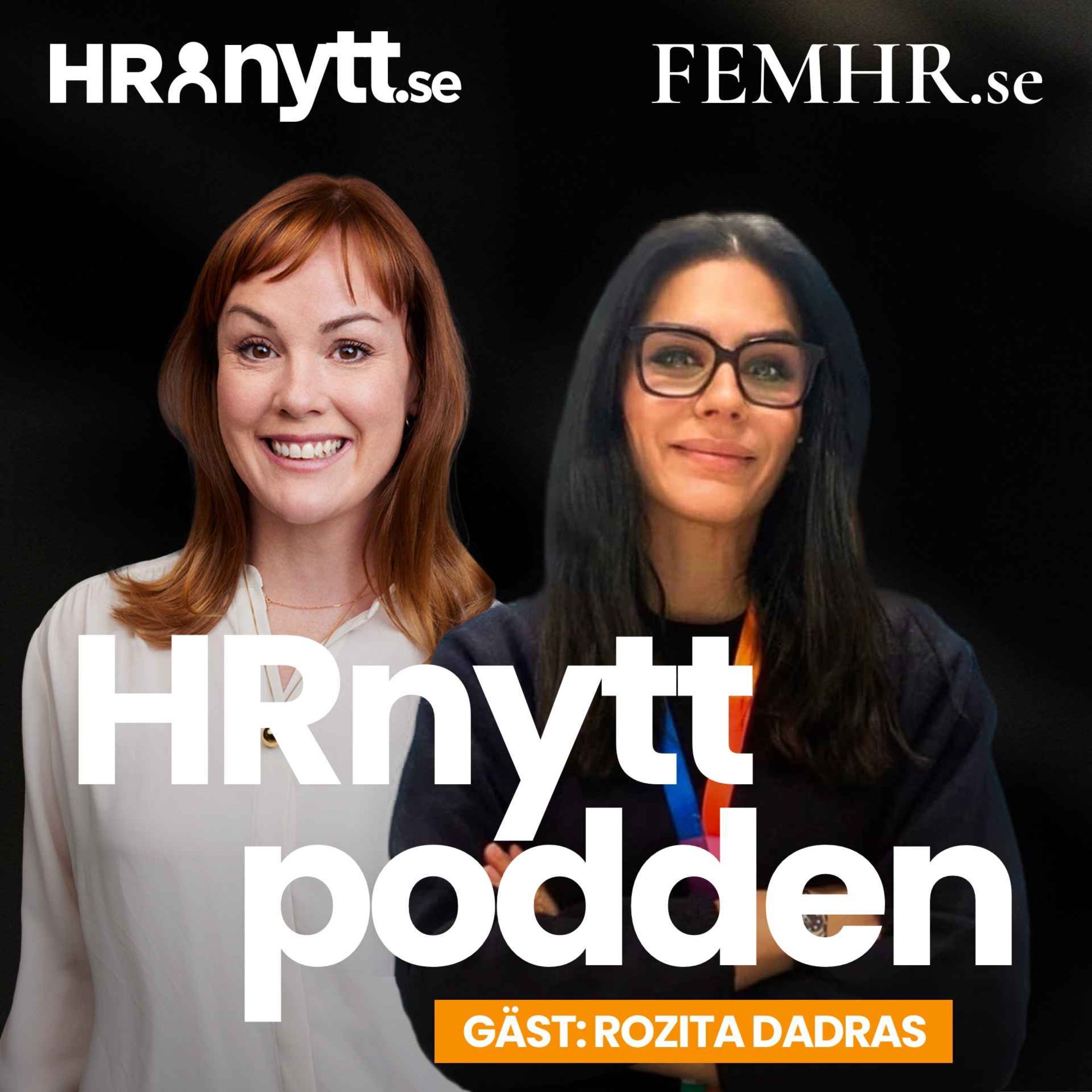 Så bygger du affärsnära och datadriven HR i ständig förändring episode artwork