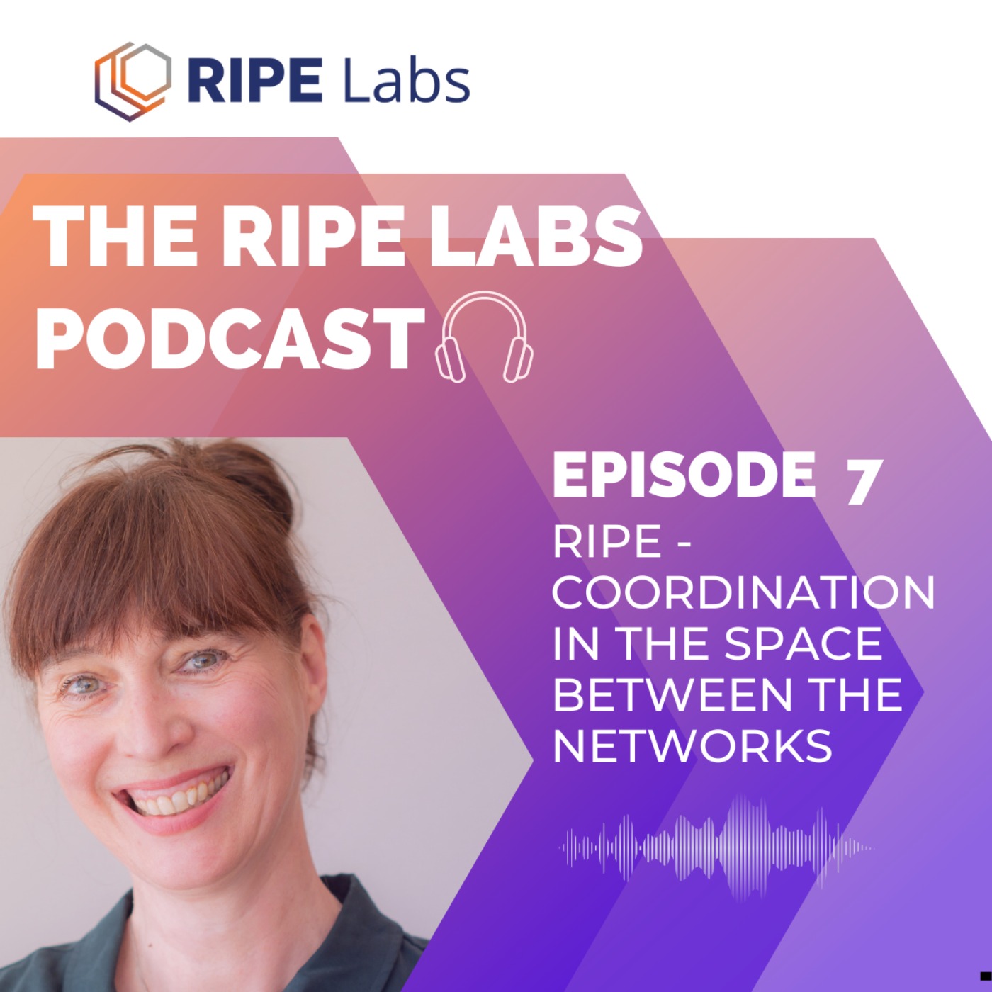 RIPE - Coordination in the Space Between the Networks