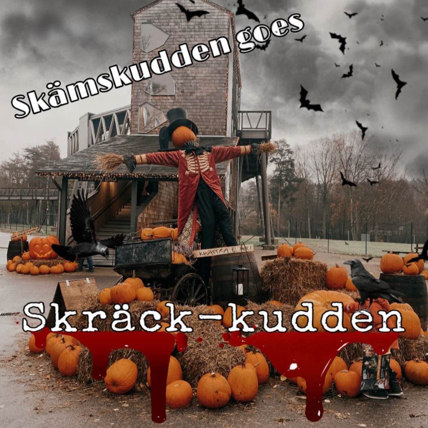 Skämskudden