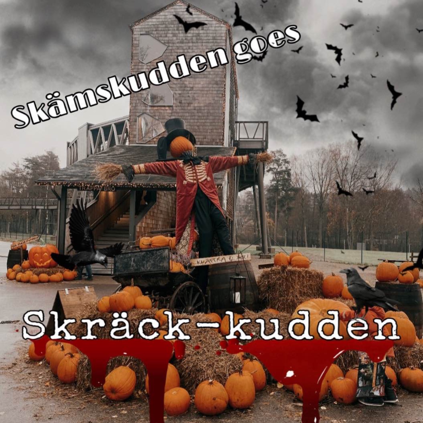 Skämskudden