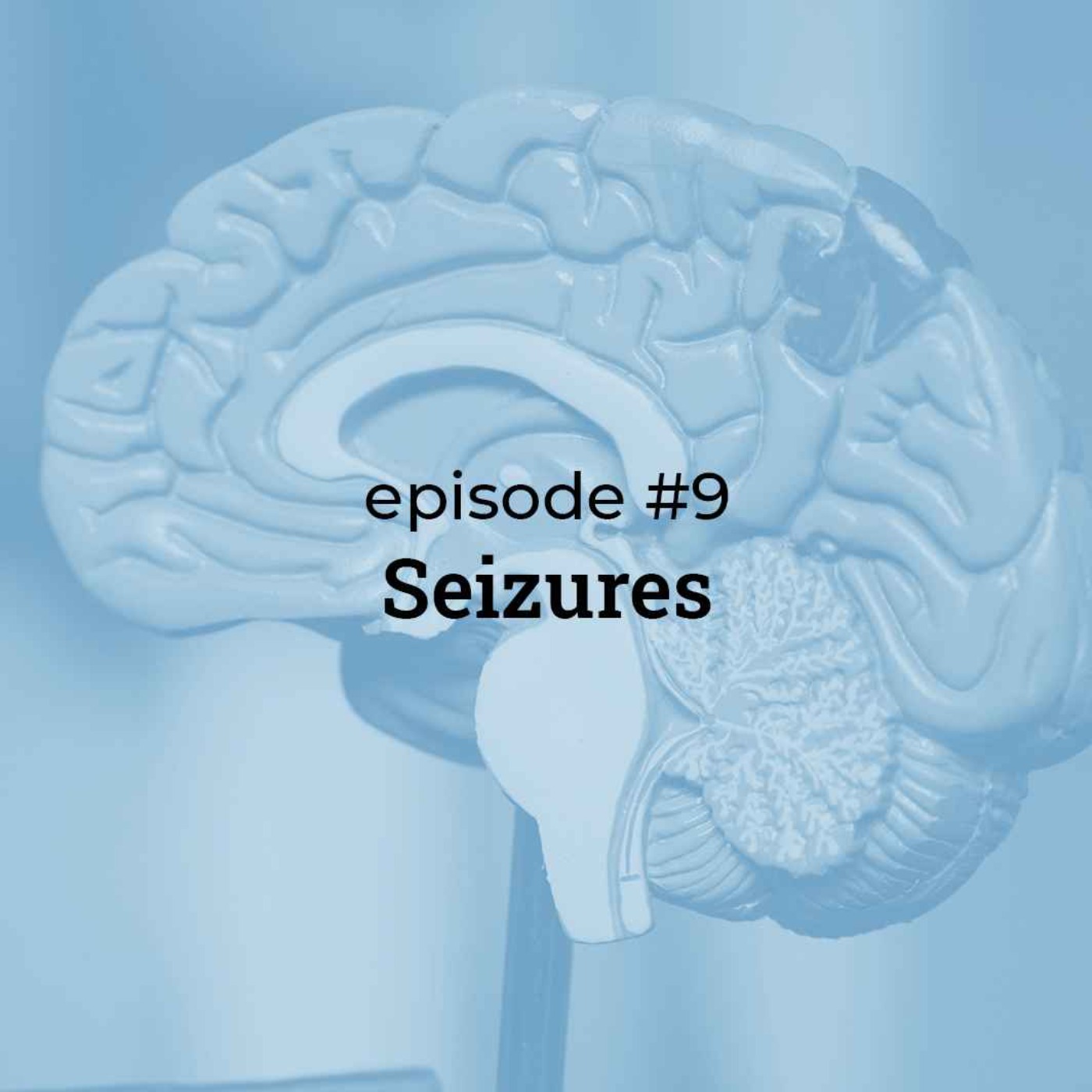 #9 Seizures