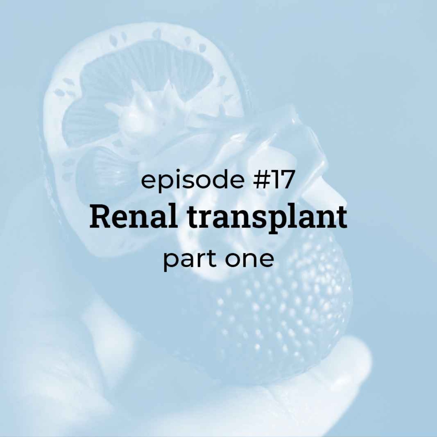 #17 Renal transplant (part 1)