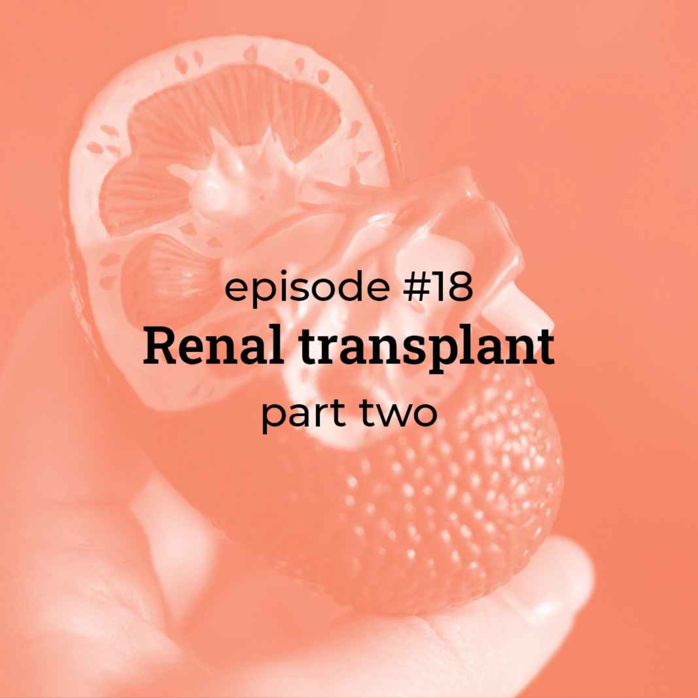 #18 Renal transplant (part 2)