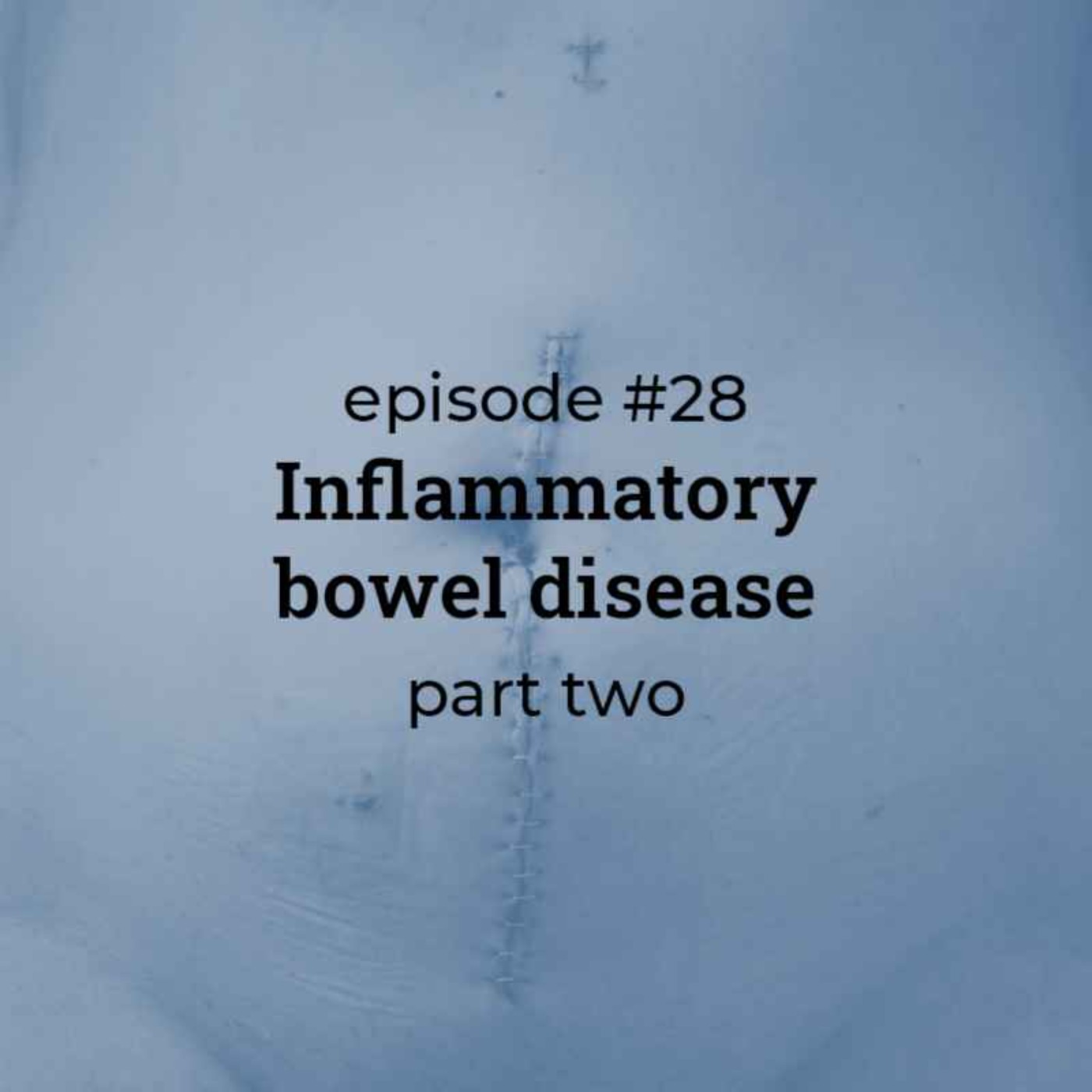 #28 Inflammatory bowel disease (part 2)