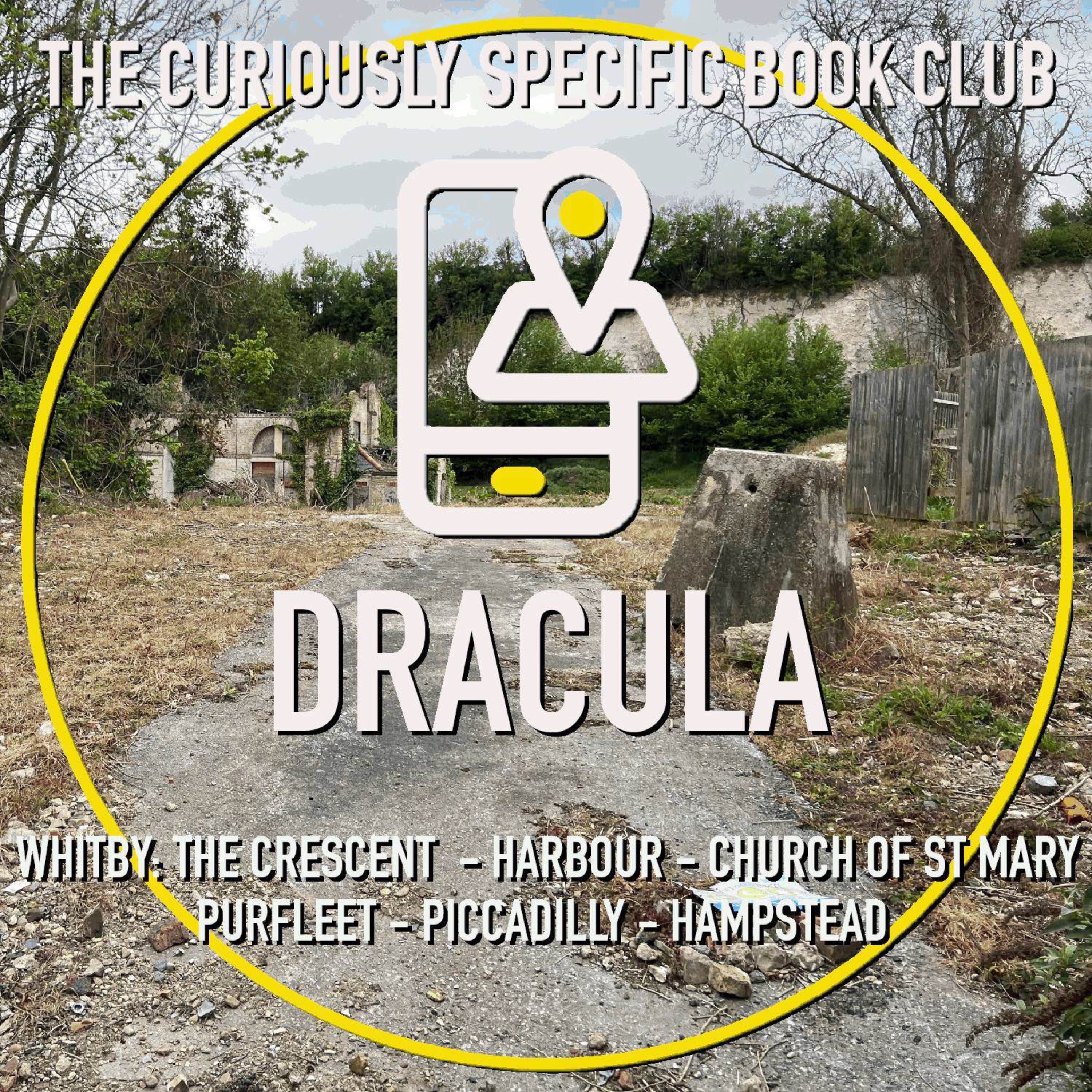 The Curiously Specific Book Club