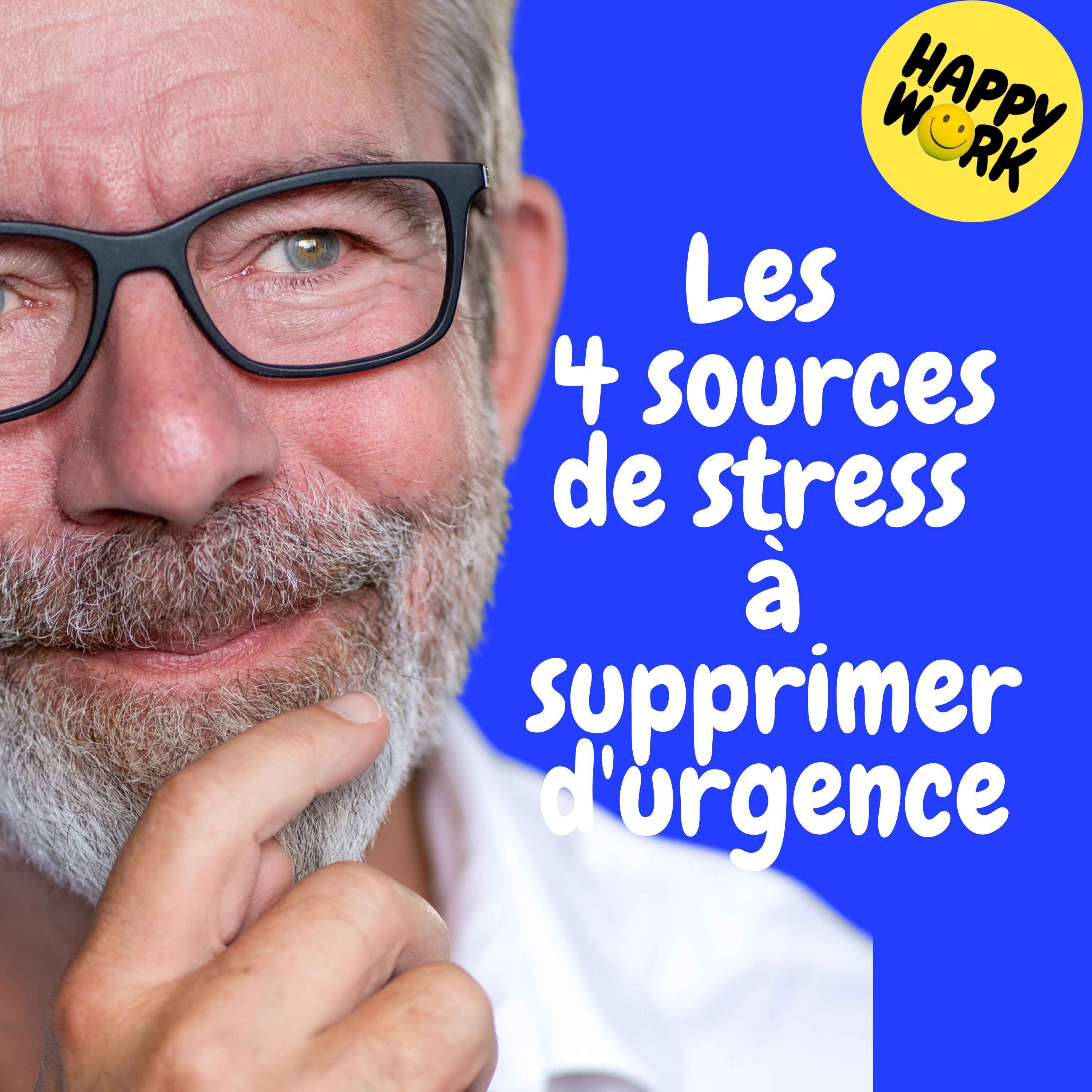 Replay- Les 4 sources de stress à supprimer d'urgence