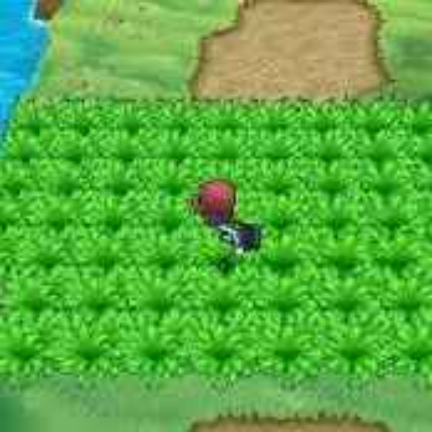 No more Tall Grass Encounters & annoying AI Trainers? 